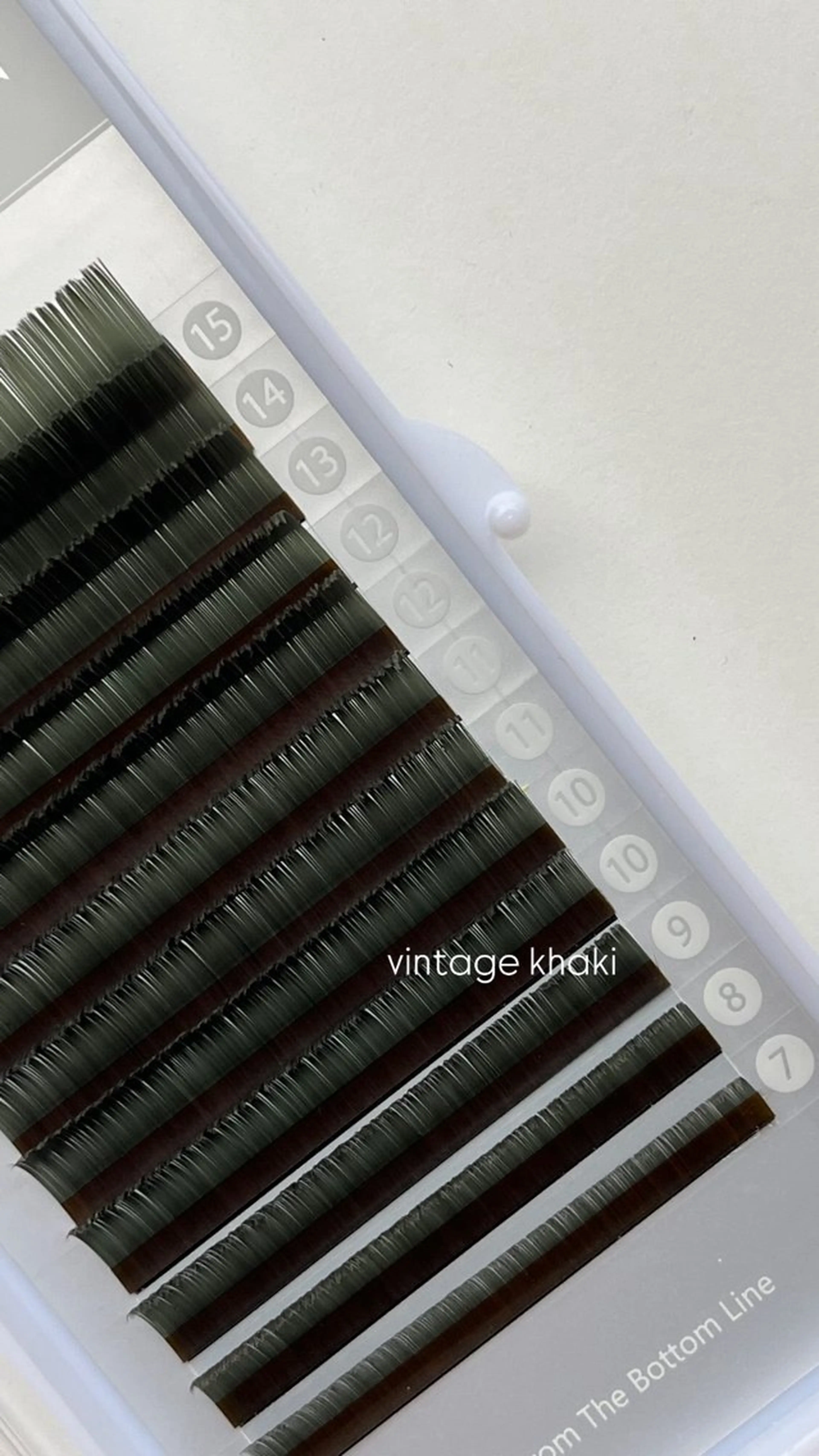 マツエク・マツパ マツエク loji所属・ナチュラル眉サロン 🌿lojiロジの眉毛・アイブロウイメージ