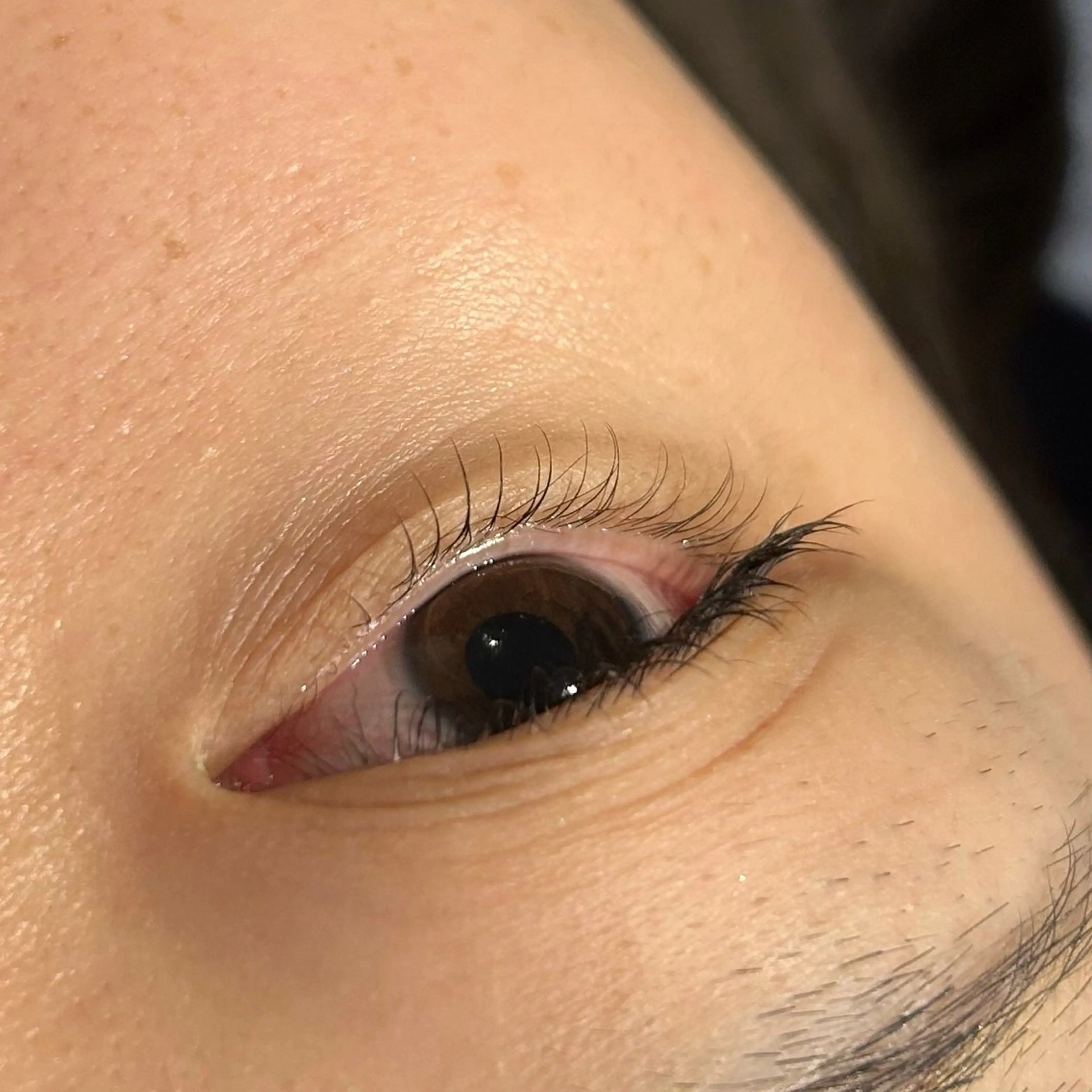 【新規限定】上下まつげパーマ トリートメント付きの写真