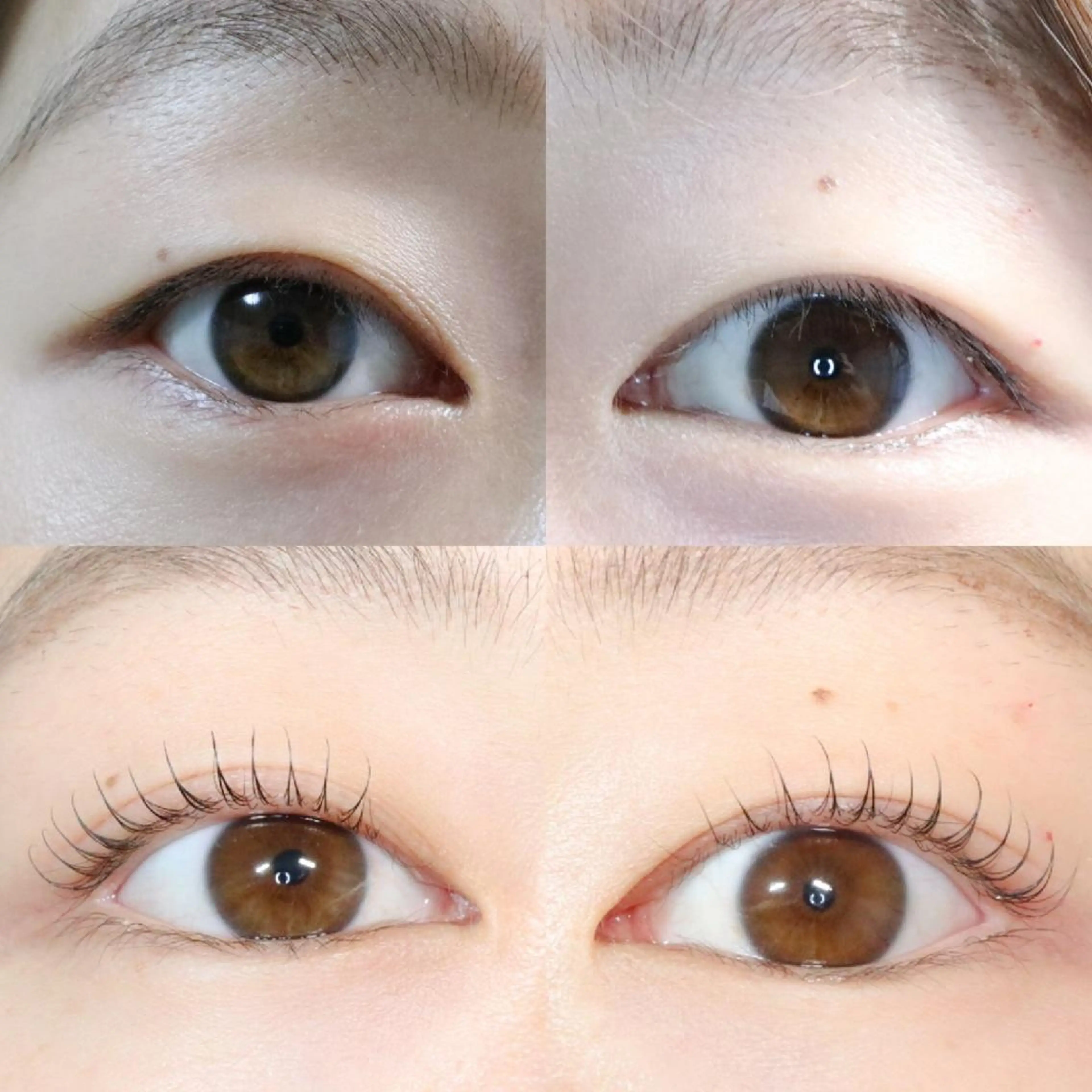 マツエク・マツパ まつげパーマ 京都のまつげ桜日和 小島美桜のマツエク・マツパデザイン