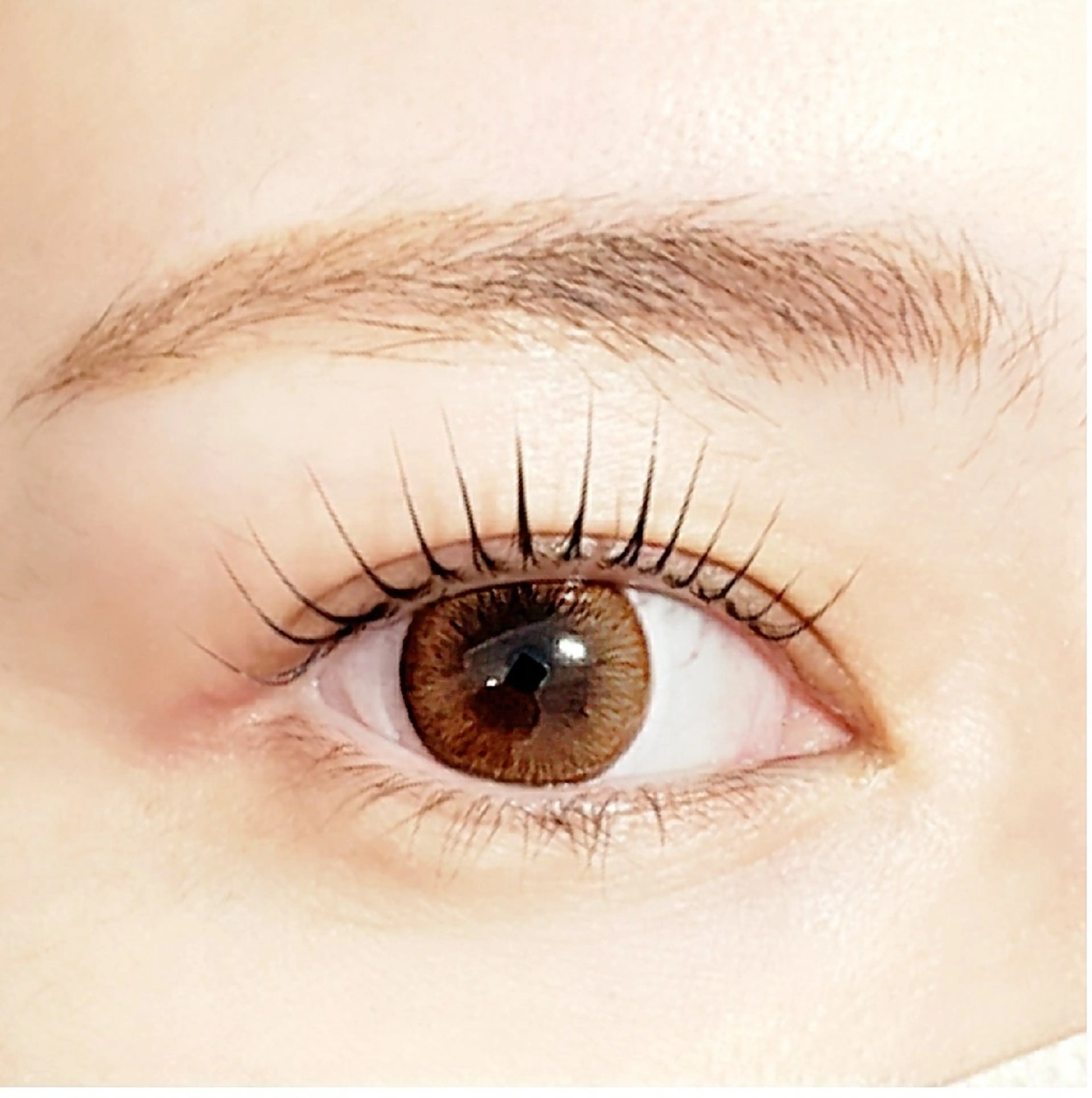 マツエク・マツパ 韓国風マツエク マツパ EBRIS浦和店 ☆ M a n aの眉毛・アイブロウイメージ