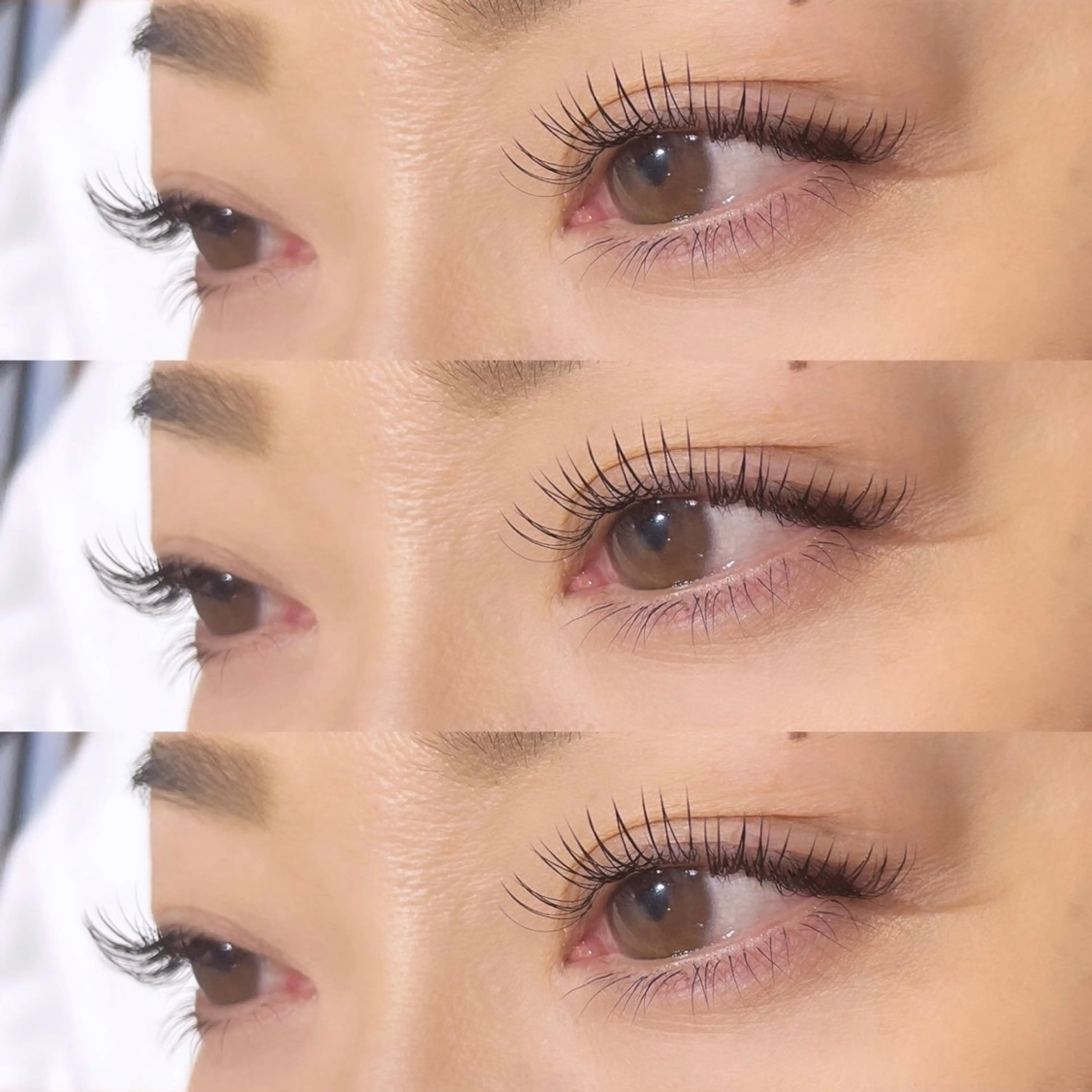 メガフラットラッシュ⭐️80束〜160束の写真