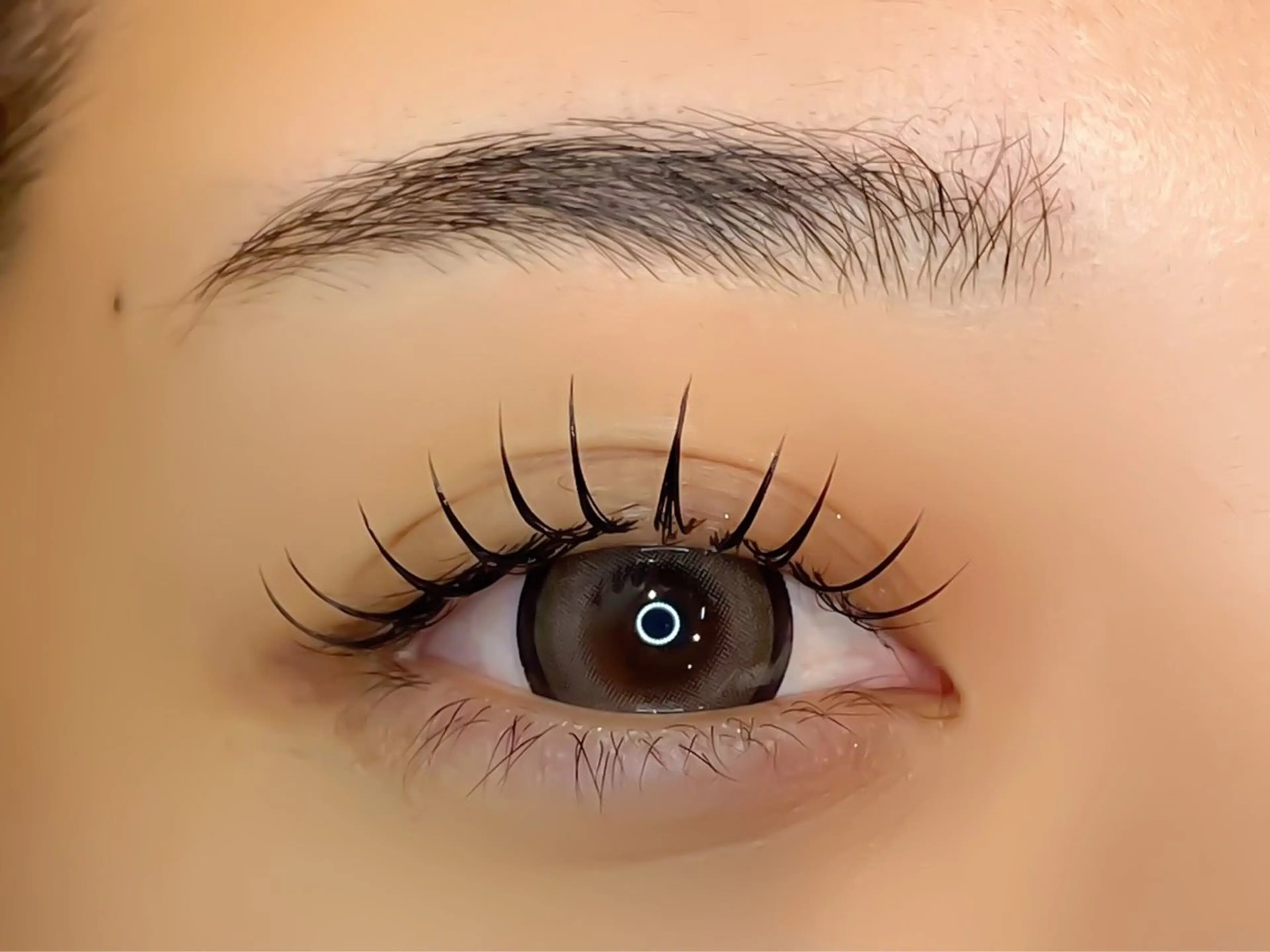 マツエク・マツパ マツエク ミニモ公認/ ｱｲﾘｽﾄ葵.のマツエク・マツパデザイン