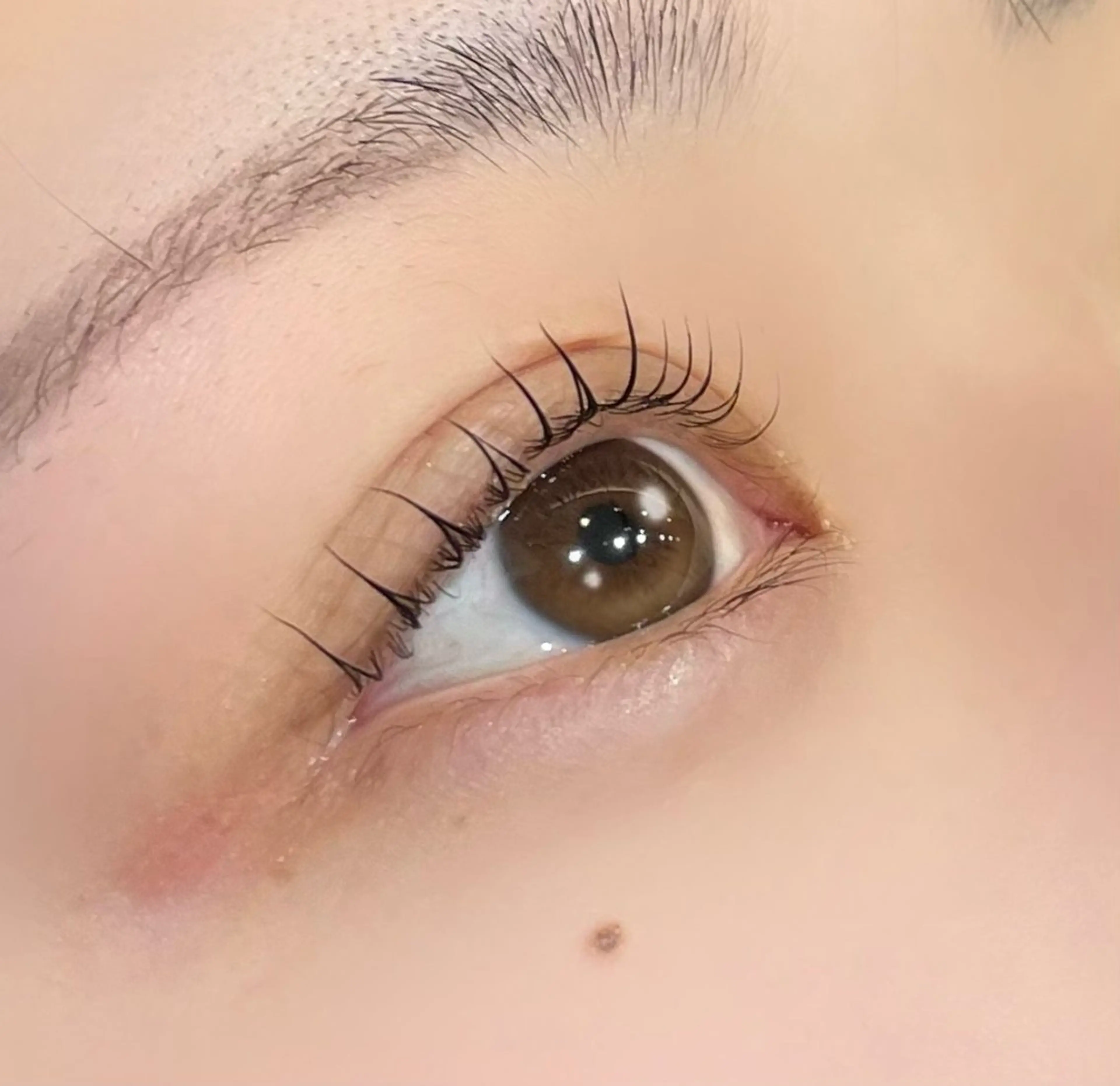 マツエク・マツパ マツパ まつパ/マツエク🤎 艶カラー/ゆり♡⃛のヘアスタイル