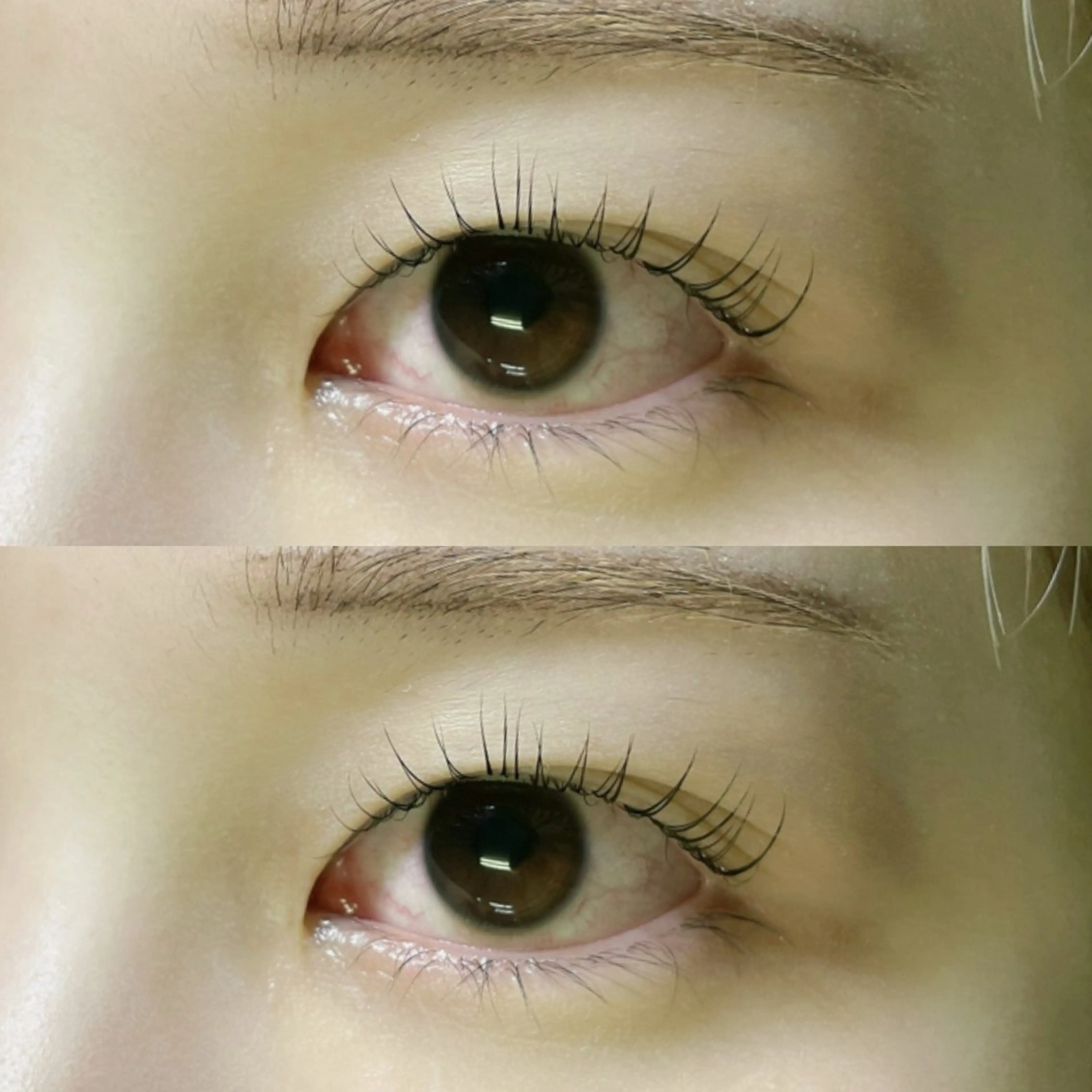 マツエク・マツパ マツパ リフュージュ　隠れ家所属・リフュージュ🌷 カホのマツエク・マツパデザイン