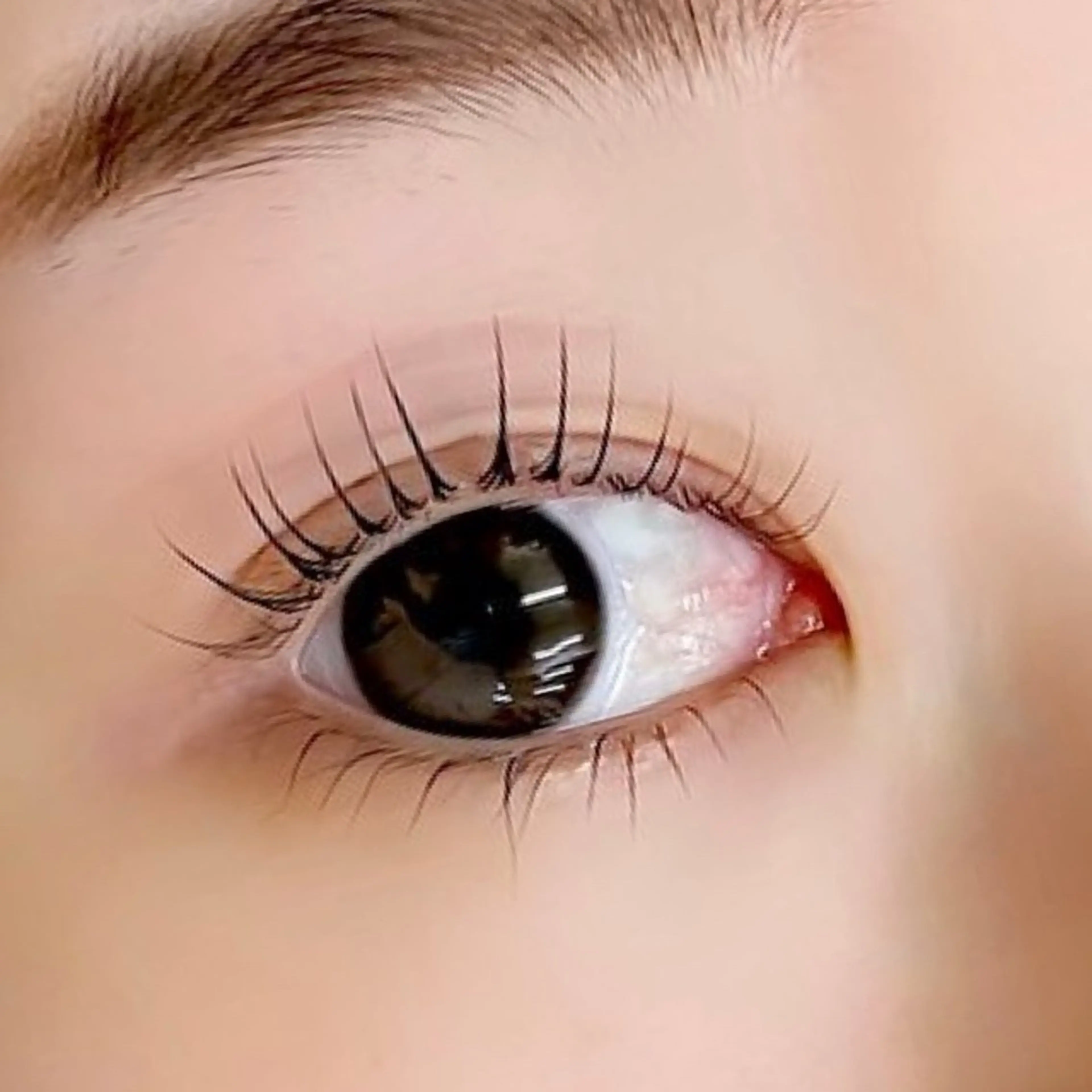 マツエク・マツパ ジュエル.《まつげ》 モデル様募集中のマツエク・マツパデザイン