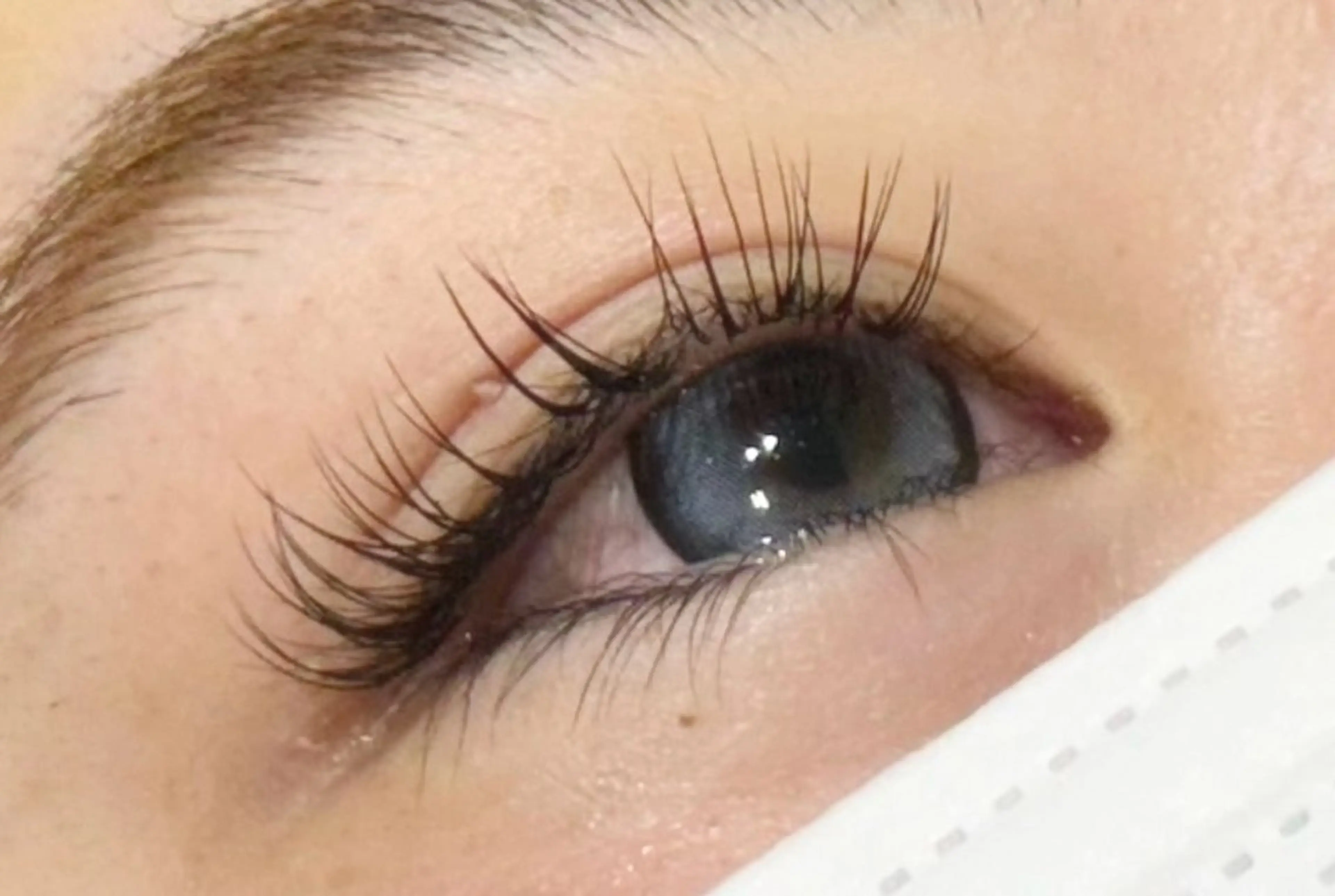 マツエク・マツパ Cカール MAQUIA 大石のマツエク・マツパデザイン