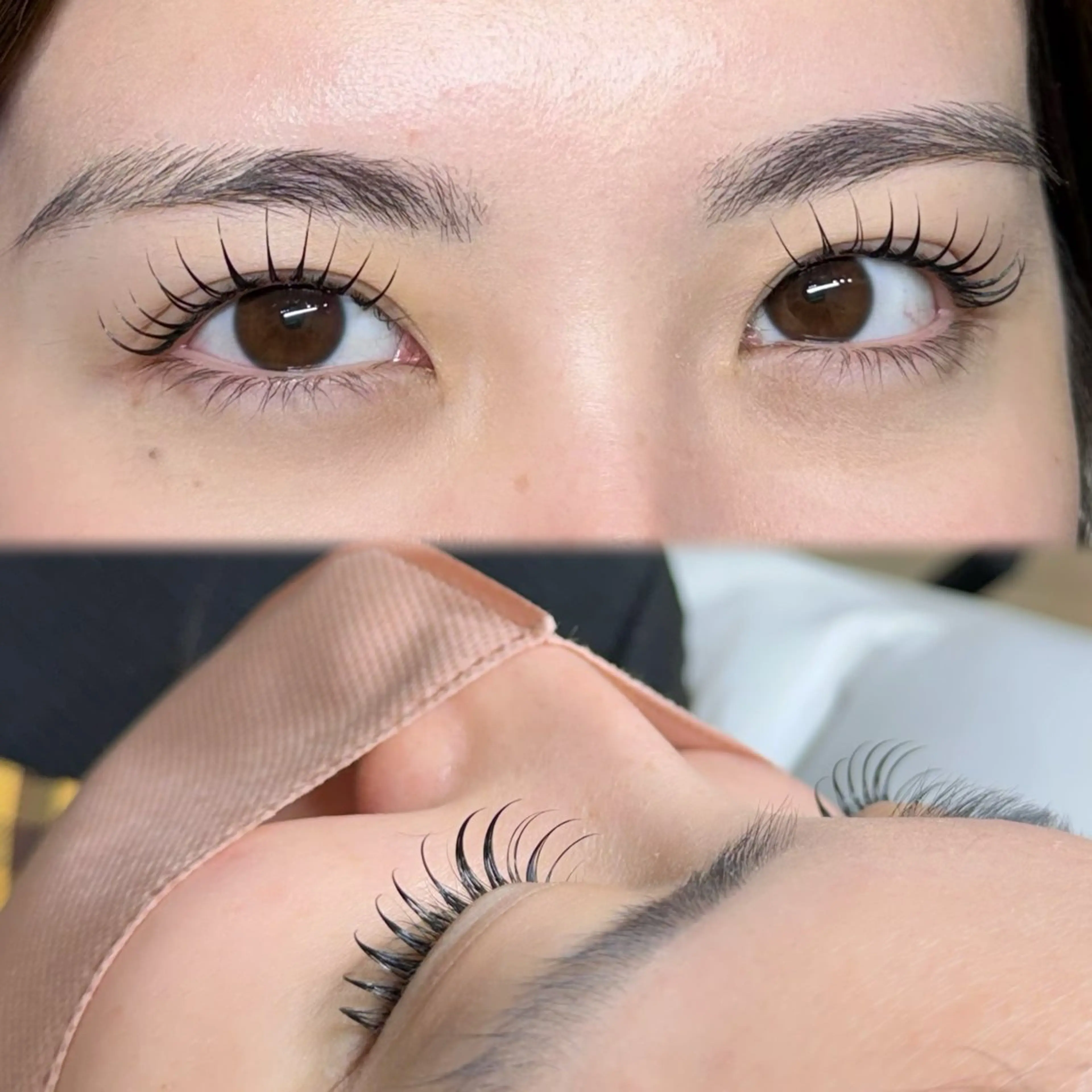 アンドヘルシー(フラットラッシュ100本)の写真