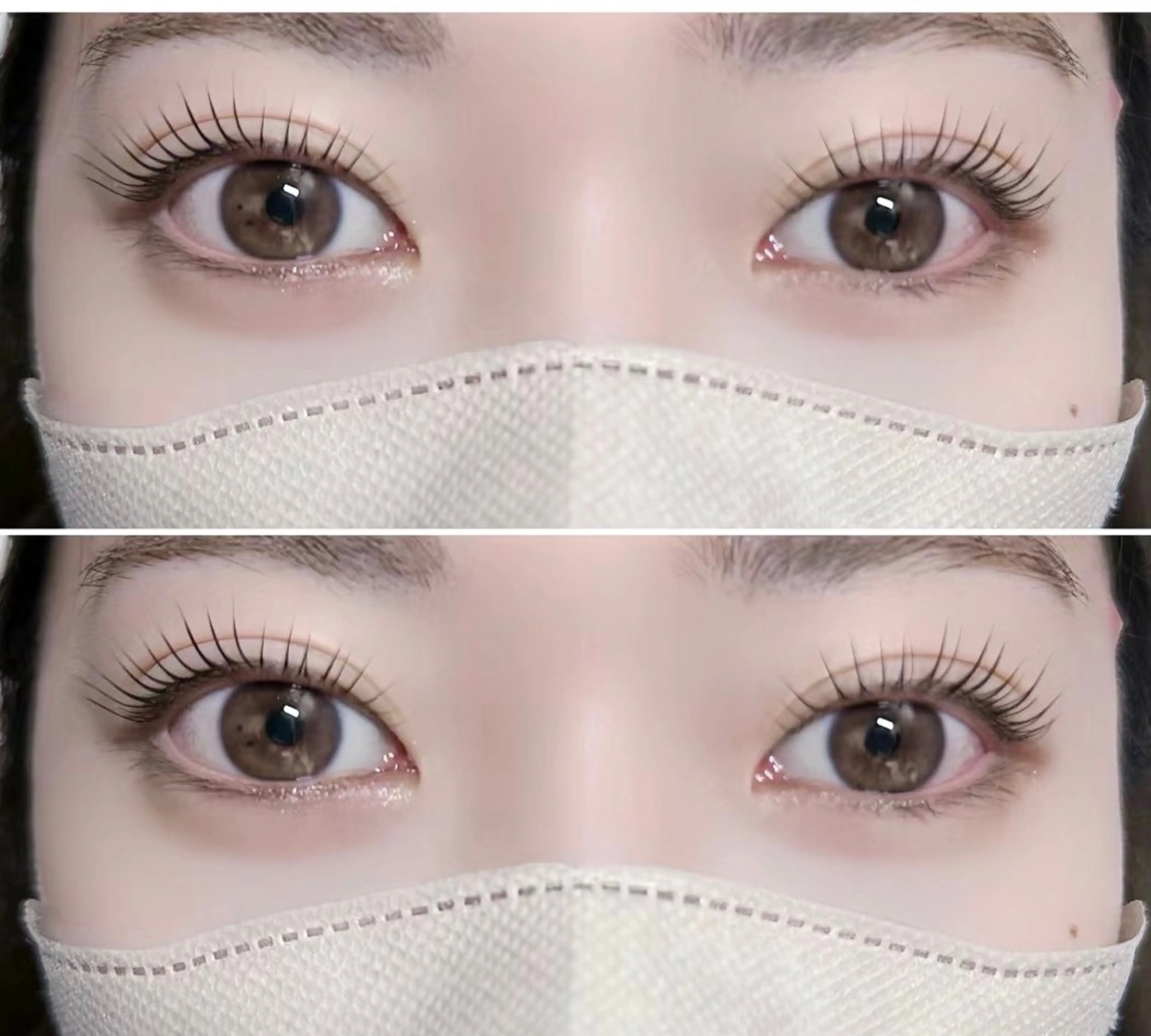 🦋パリジェンヌラッシュリフト🦋　(上) 🉐5️⃣0️⃣0️⃣0️⃣ 🌸アイパックとトリートメント付き🌸の写真