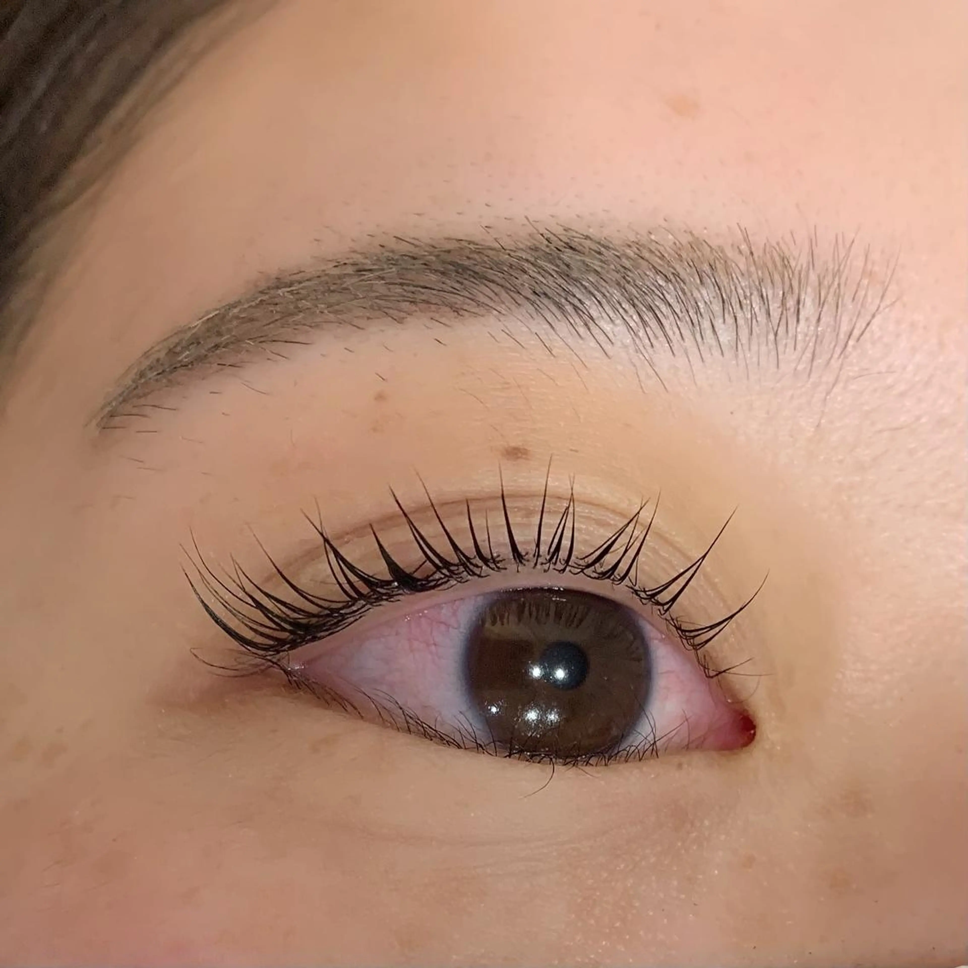 マツエク・マツパ MINAMl 🌿のヘアスタイル