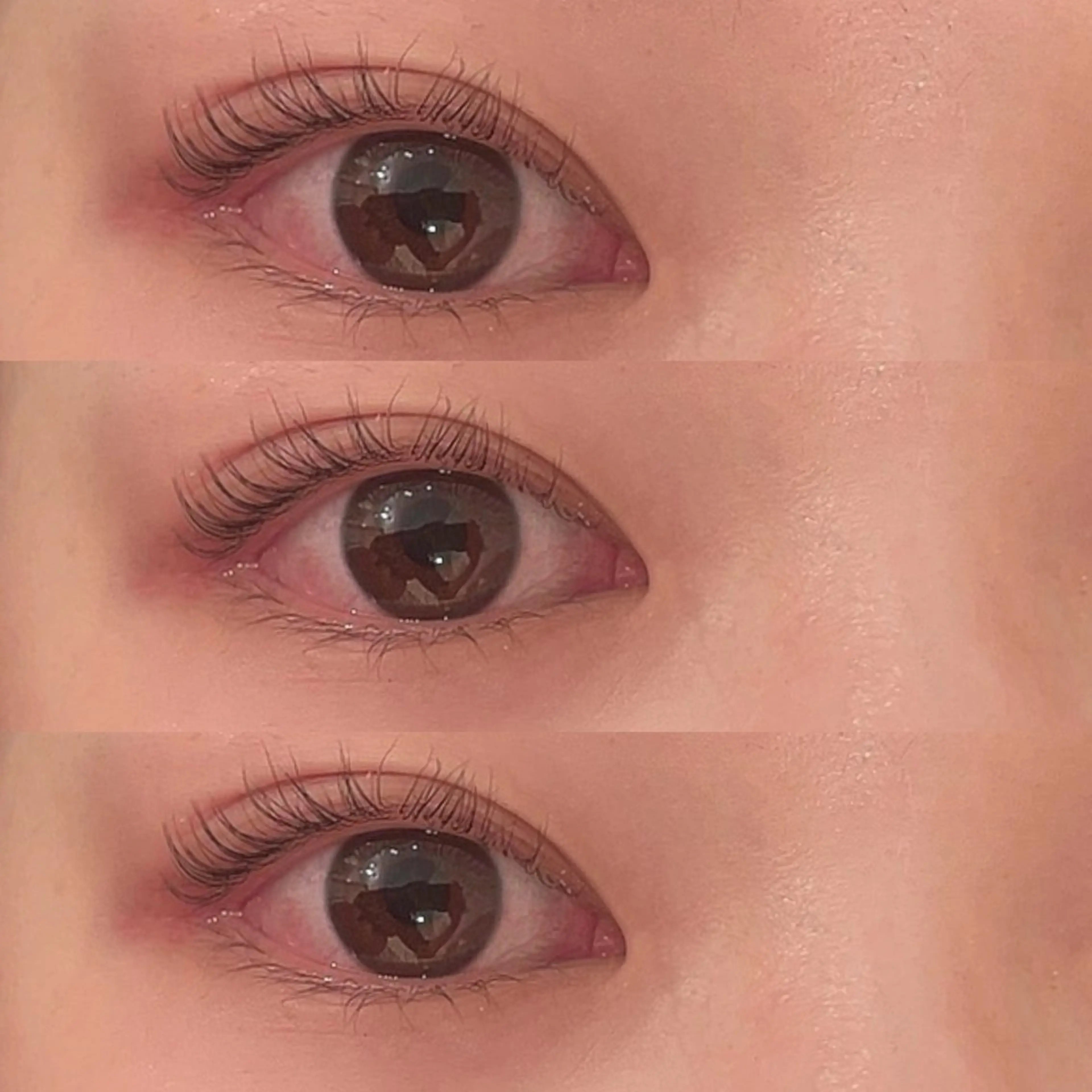 マツエク・マツパ Laul ꔛ‬ Maki‪の眉毛・アイブロウイメージ