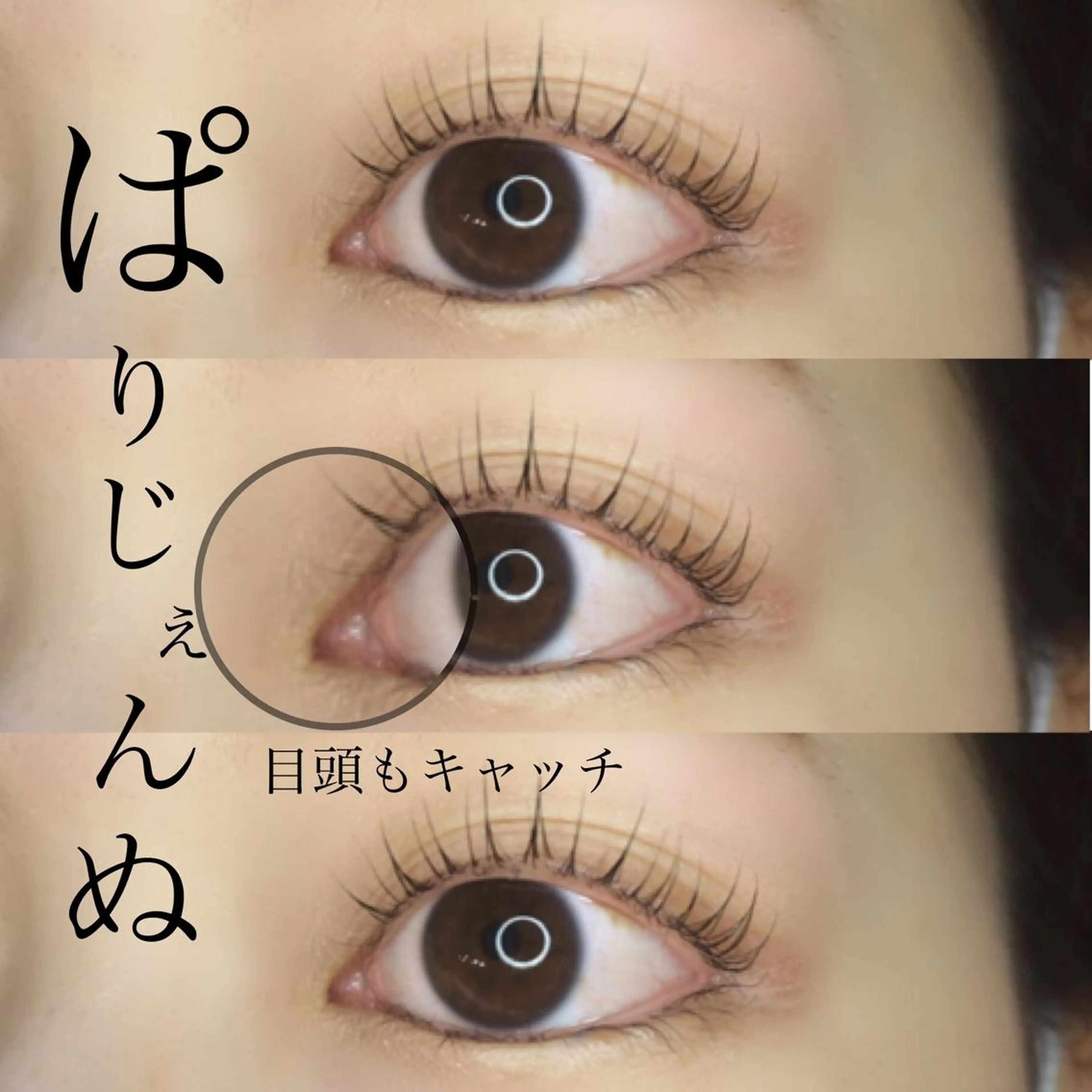 マツエク・マツパ 《eyelash ｉｉｔｅ》森のマツエク・マツパデザイン