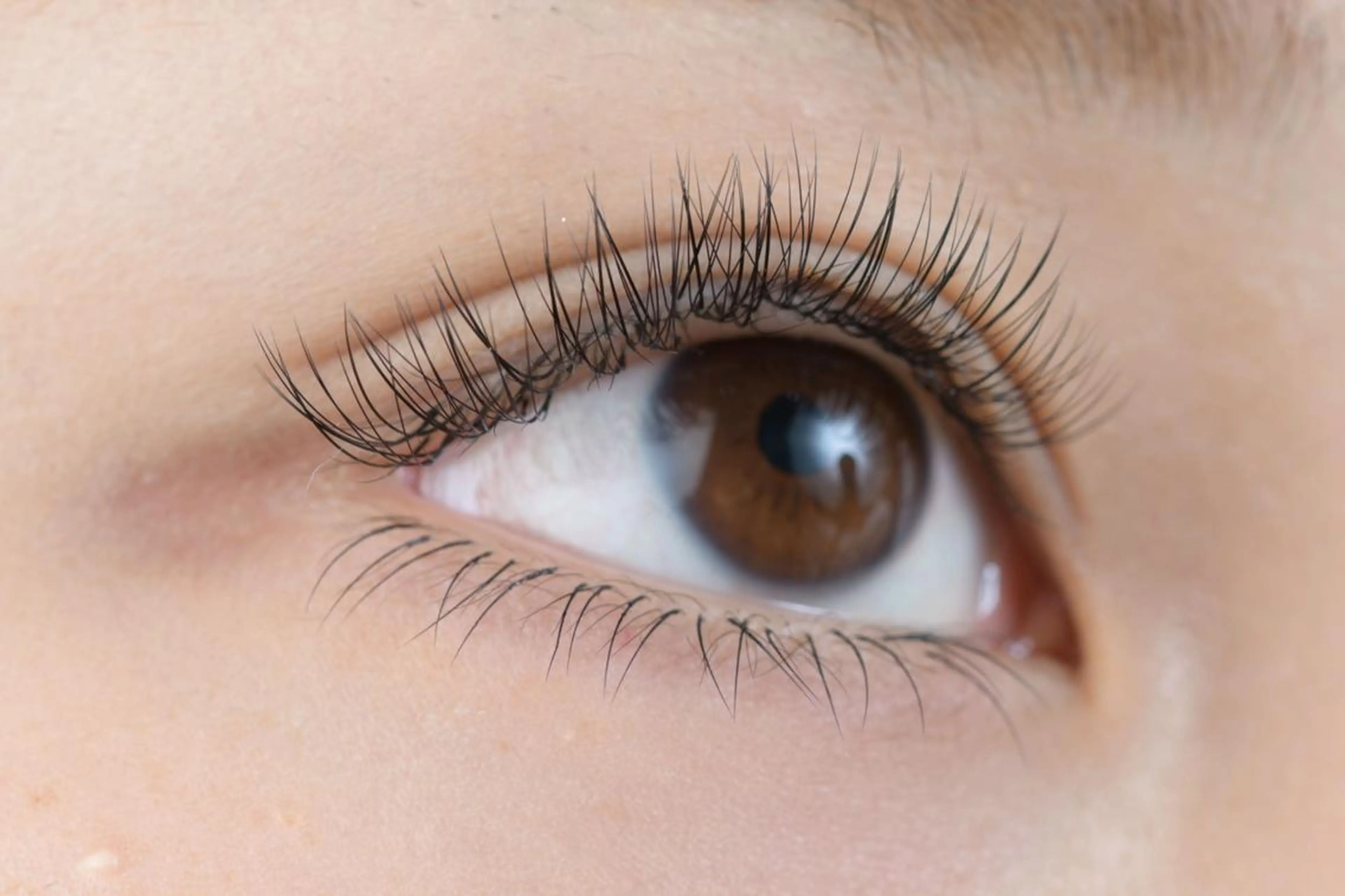 マツエク・マツパ フラットラッシュ ボリュームラッシュ アイサロン フェア 海老名店のマツエク・マツパデザイン