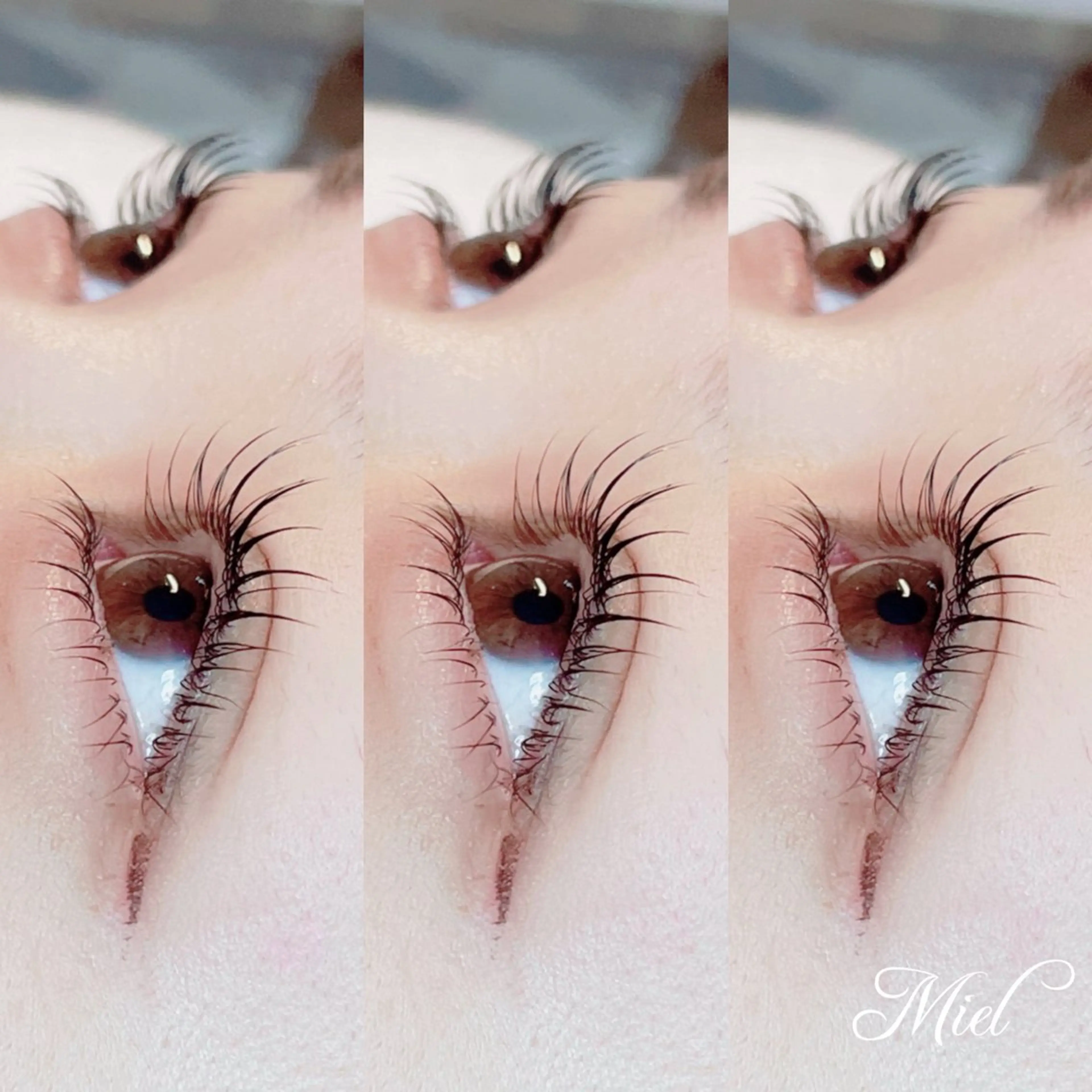 マツエク・マツパ まつげパーマ Mori ✨Mystical✨のマツエク・マツパデザイン