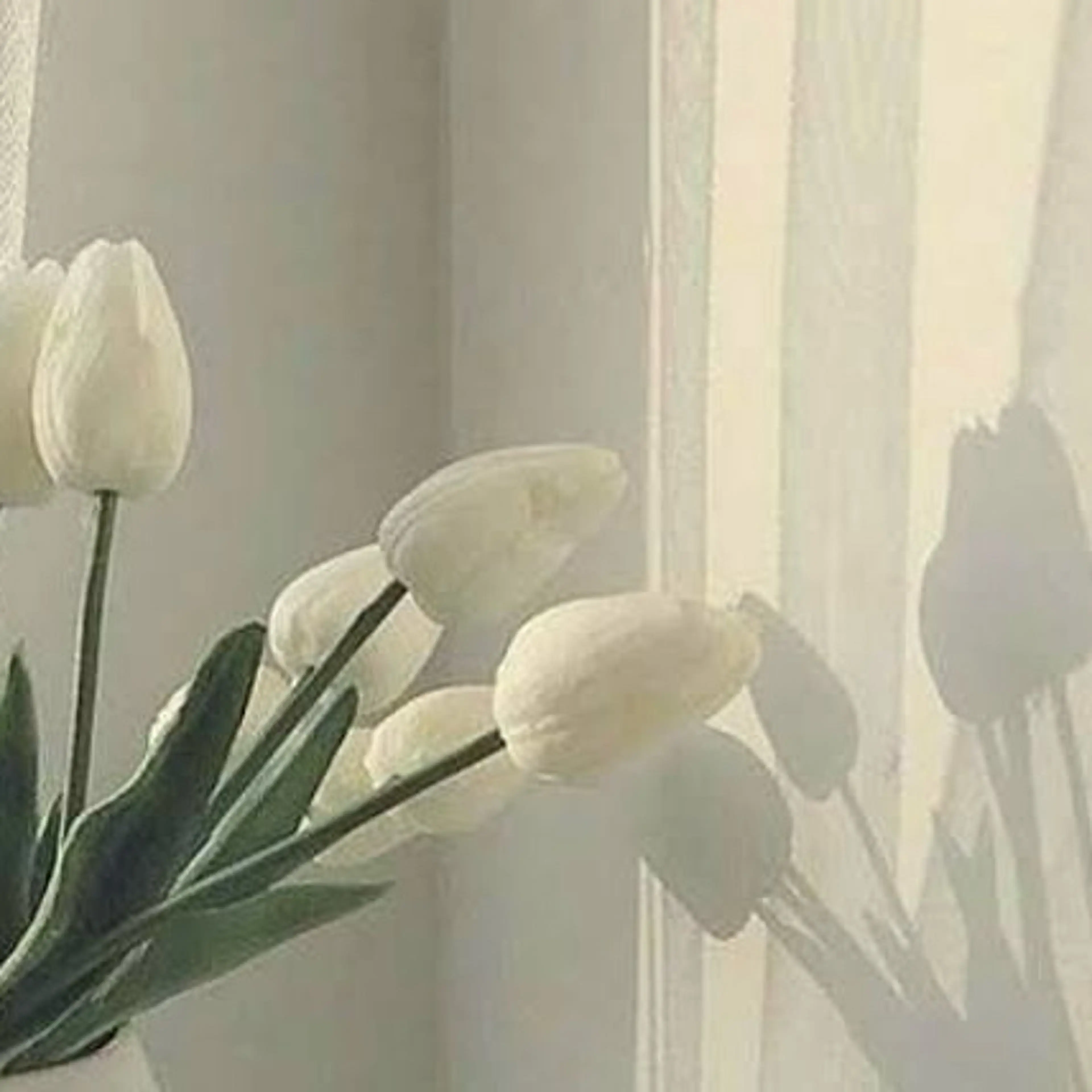 【パリジェンヌラッシュリフト】🌱ケラチントリートメント仕上げの写真