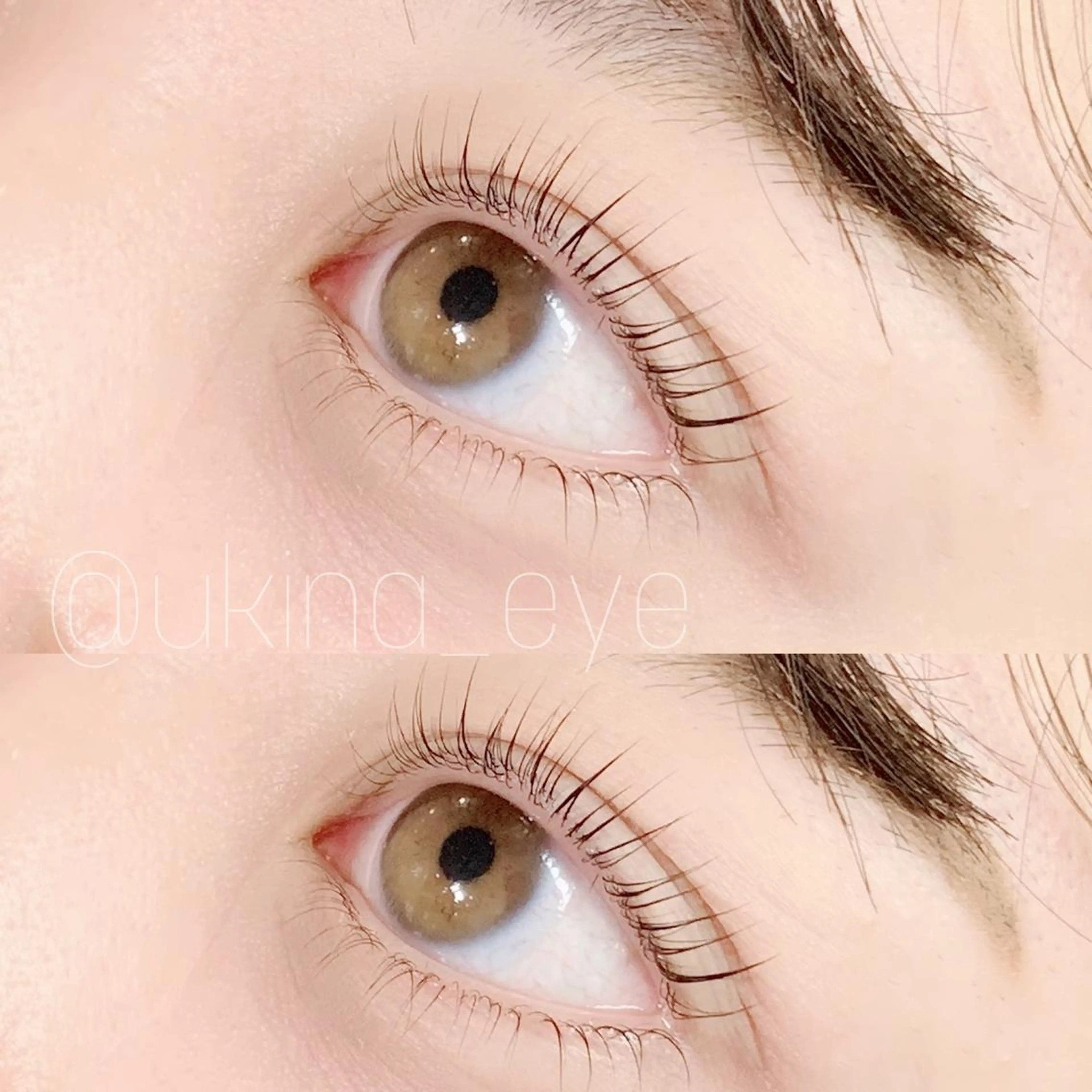 初回12月平日限定🔅パリジェンヌラッシュリフト上の写真