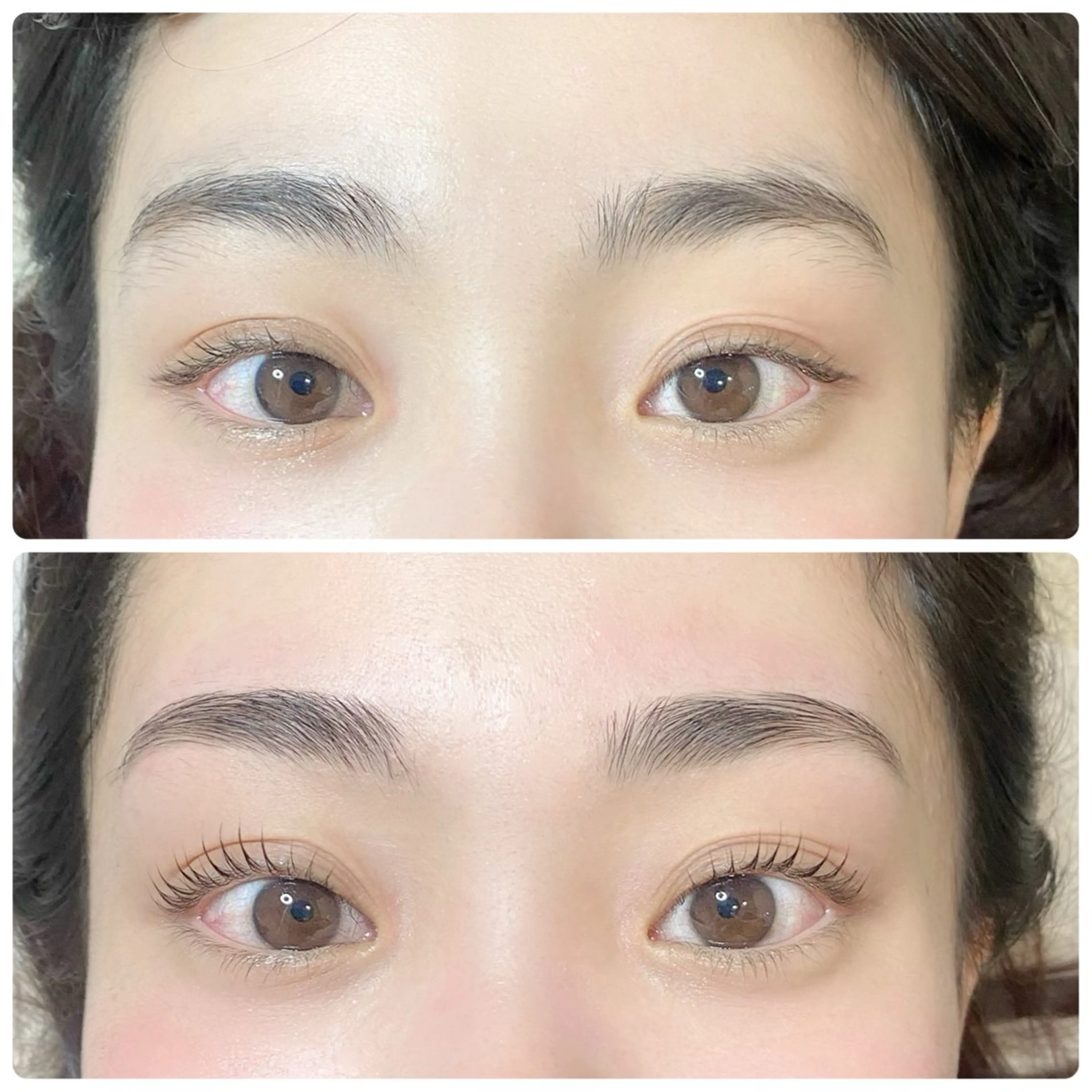 【12月19日来店限定】眉WAXスタイリング+パリジェンヌラッシュリフト★90分の写真