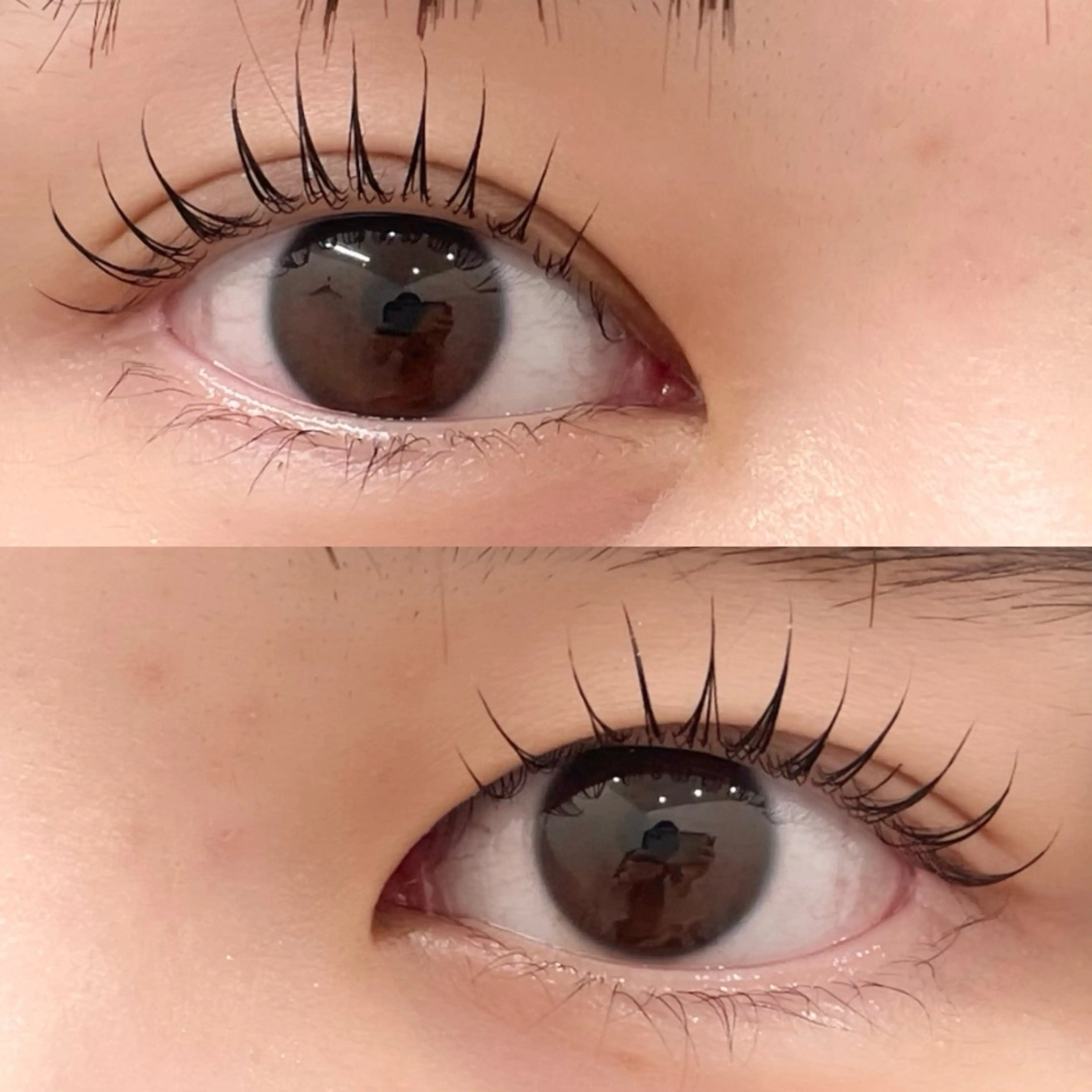 マスカラパーマ/ブラックティント🤍コーティング美容液つき♪の写真