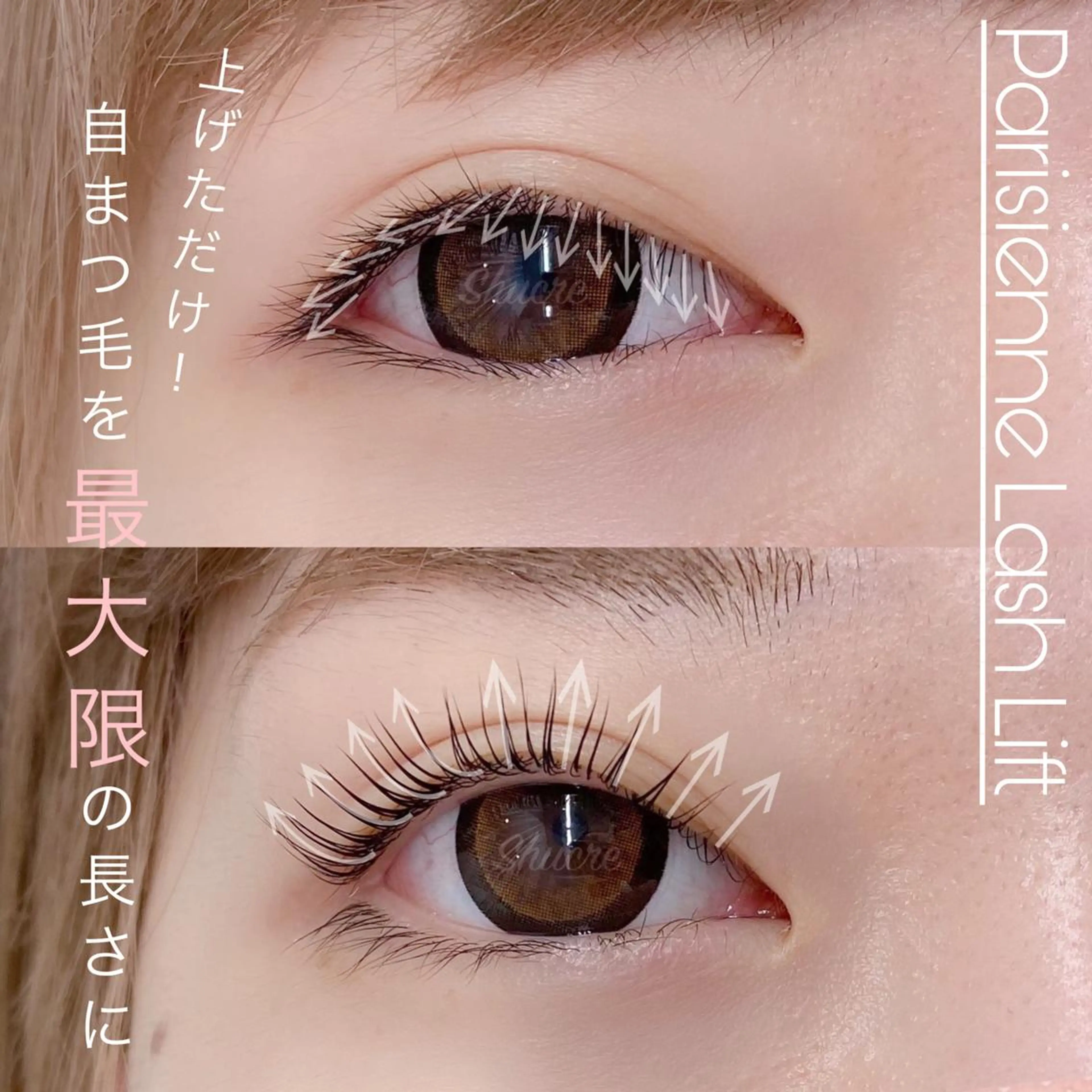 マツエク・マツパ Shucre栄店🤍 Rikaのマツエク・マツパデザイン