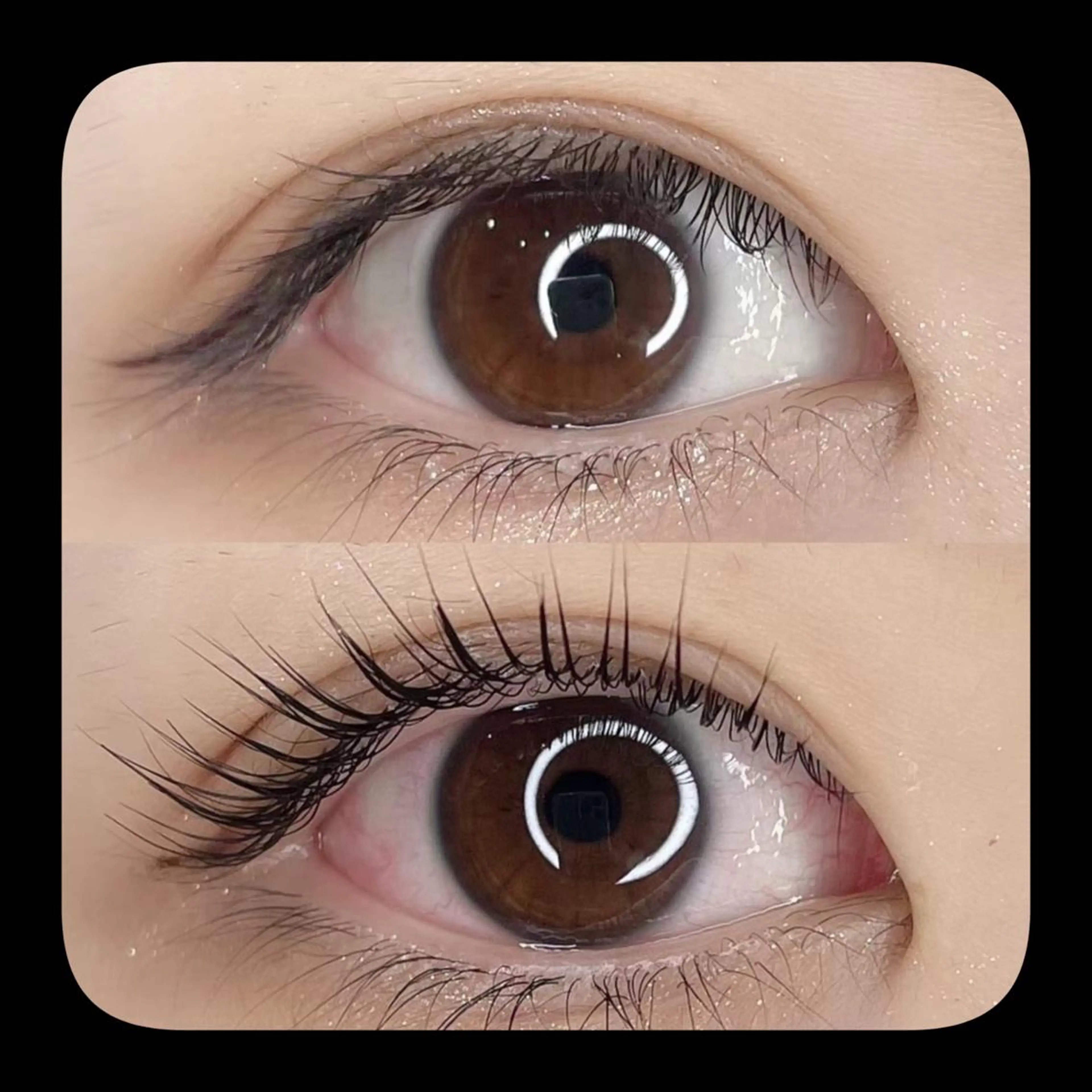 ❤️‍🔥新規様限定❤️‍🔥眉毛ワックス＋パリジェンヌラッシュリフトorまつ毛パーマ（平日17時まで7700円）の写真