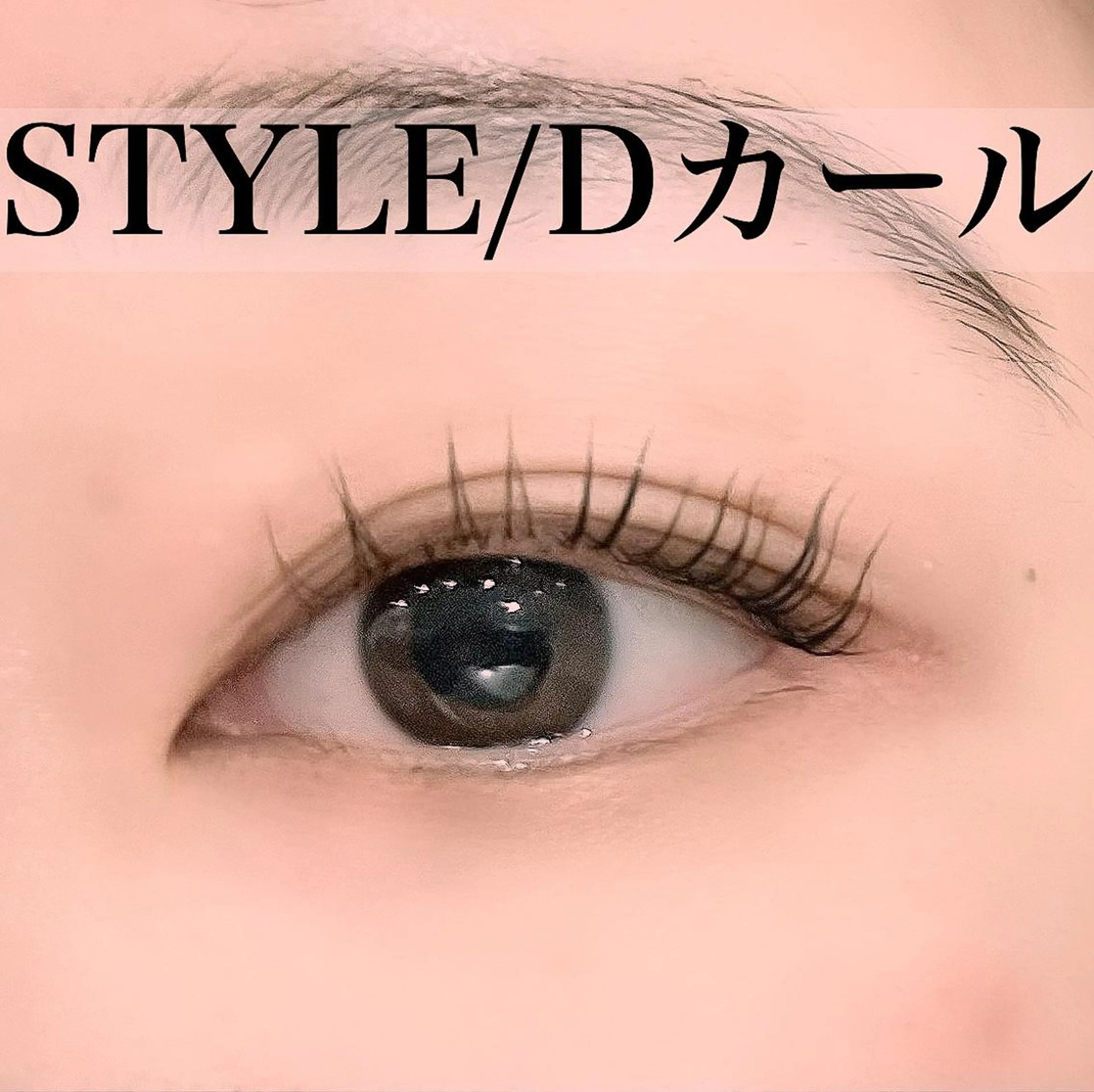 マツエク・マツパ Dカール MASAMI ¨̮の眉毛・アイブロウイメージ