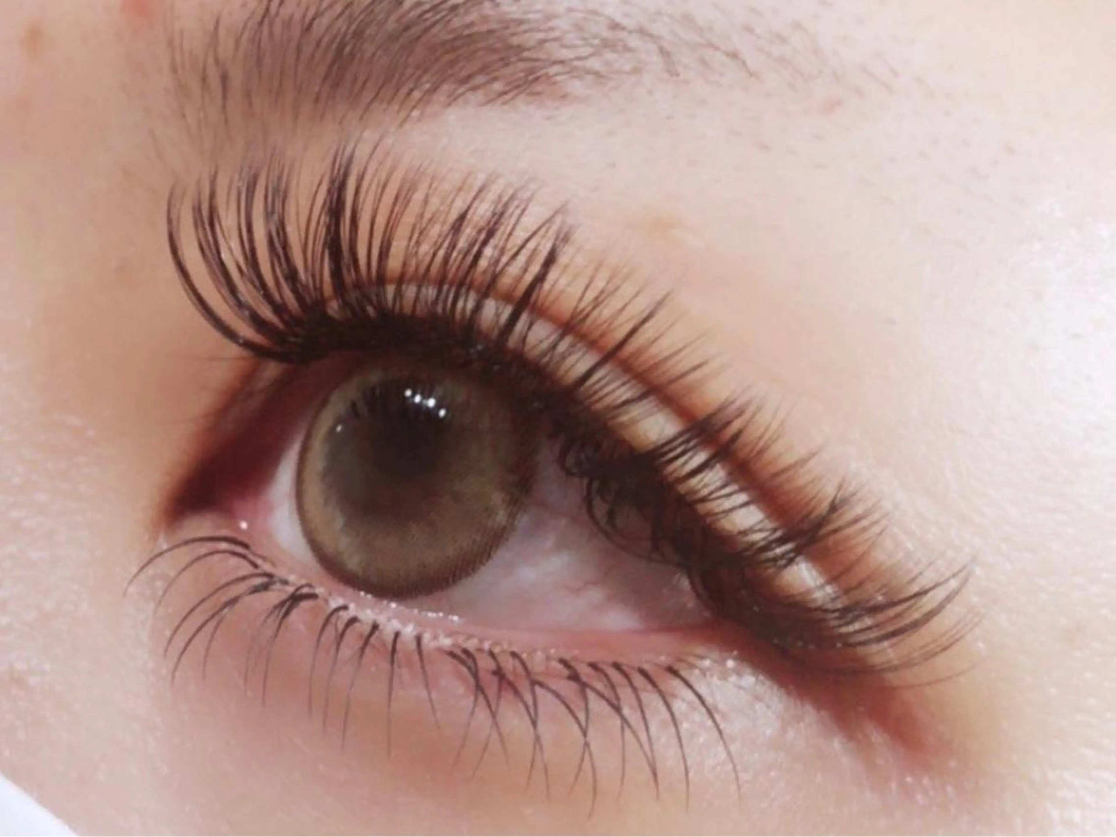 マツエク・マツパ 付け放題 バインドロック フラットラッシュ パリジェンヌラッシュリフト まつげパーマ マツエク オーロラ所属・AURORA RINAのマツエク・マツパデザイン