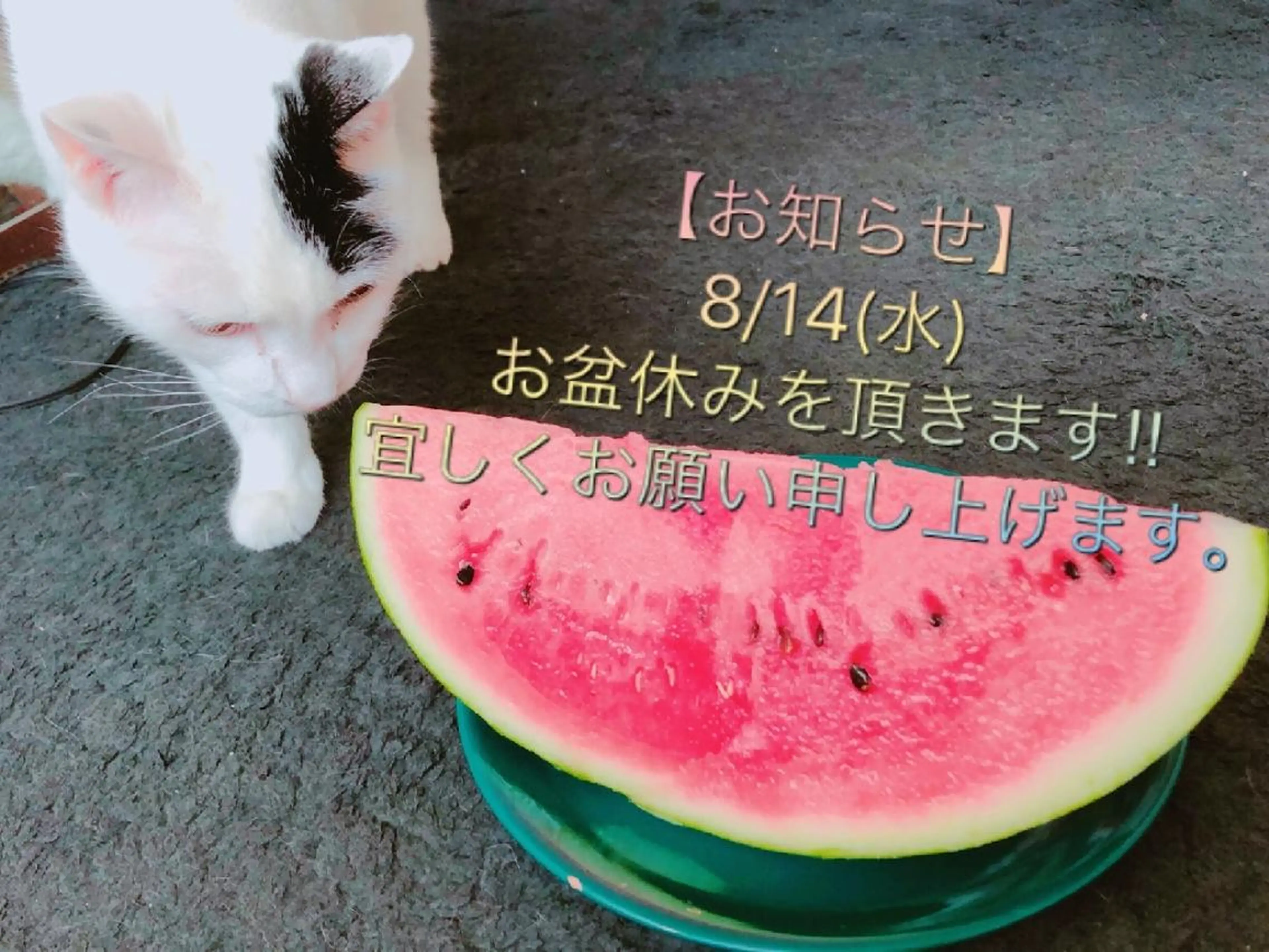 ネイル Glanz  Nail aのネイルデザイン