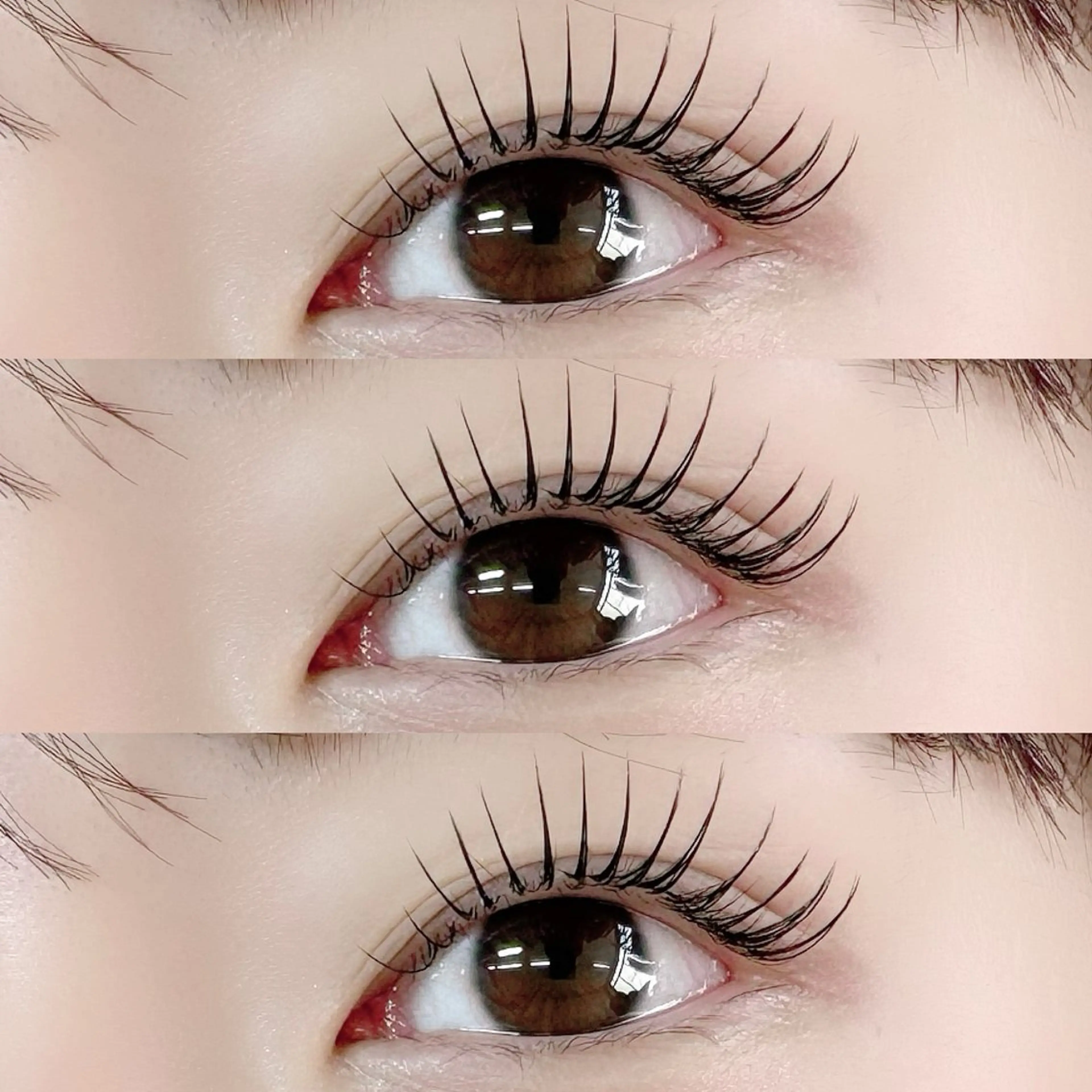 1月限定🌟パリエク120本フラットラッシュ or3Dライト※オフありプラス1100円の写真