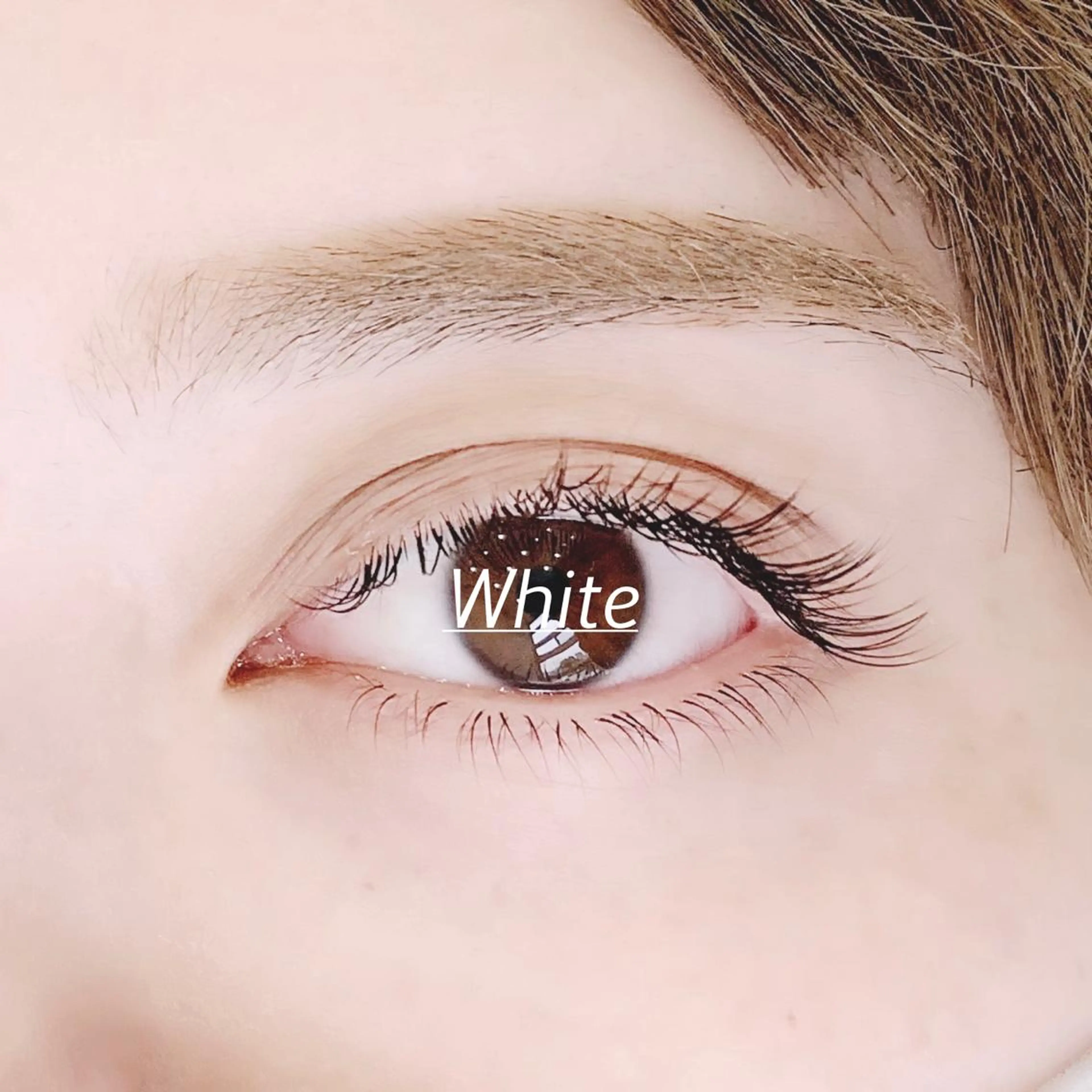 マツエク・マツパ ホワイトアイ HIKARUの眉毛・アイブロウイメージ