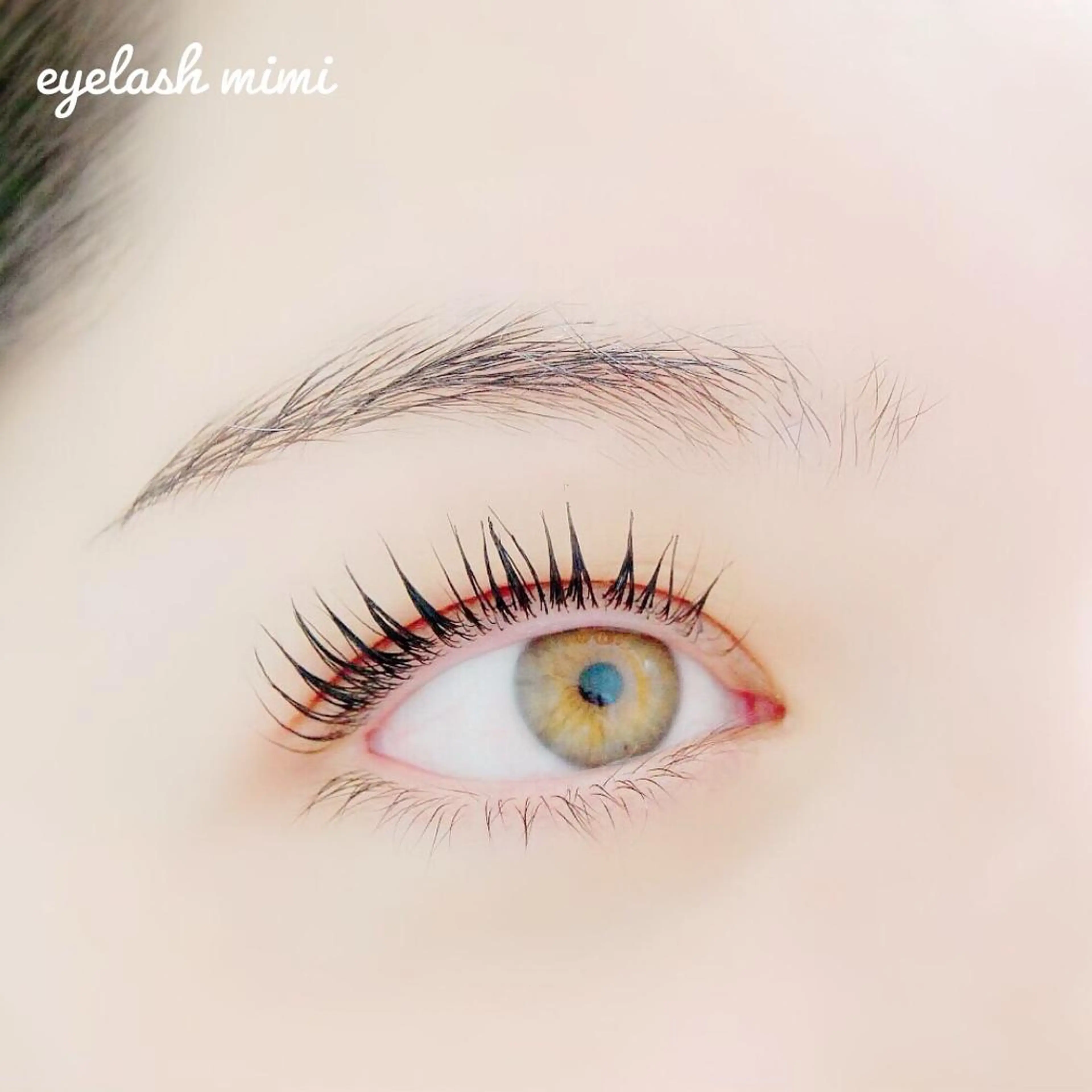 マツエク・マツパ ケラチンラッシュリフト eyelash  mimi所属・eyelash mimiのマツエク・マツパデザイン