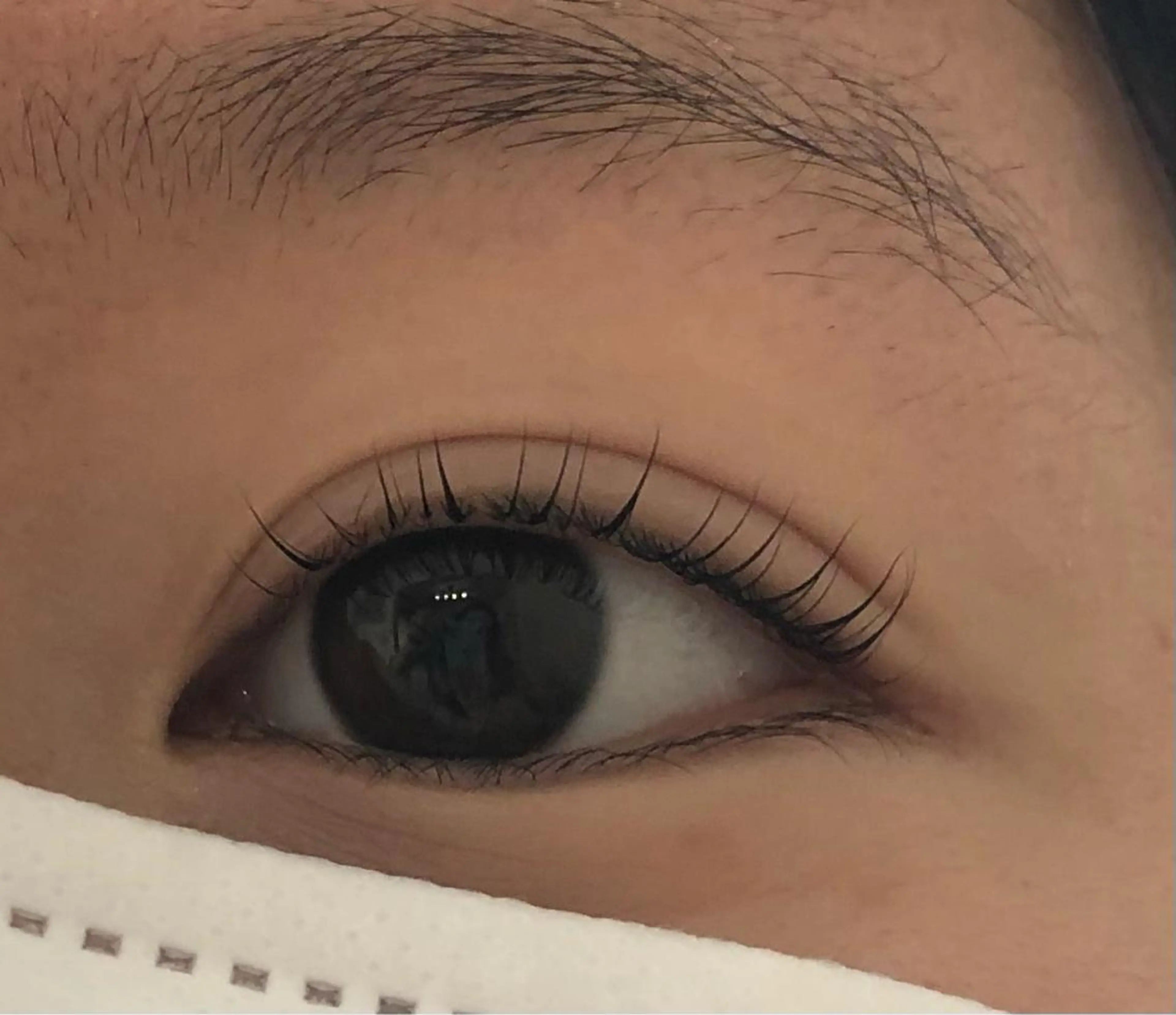 学割U24クーポン☆ラッシュリフトの写真