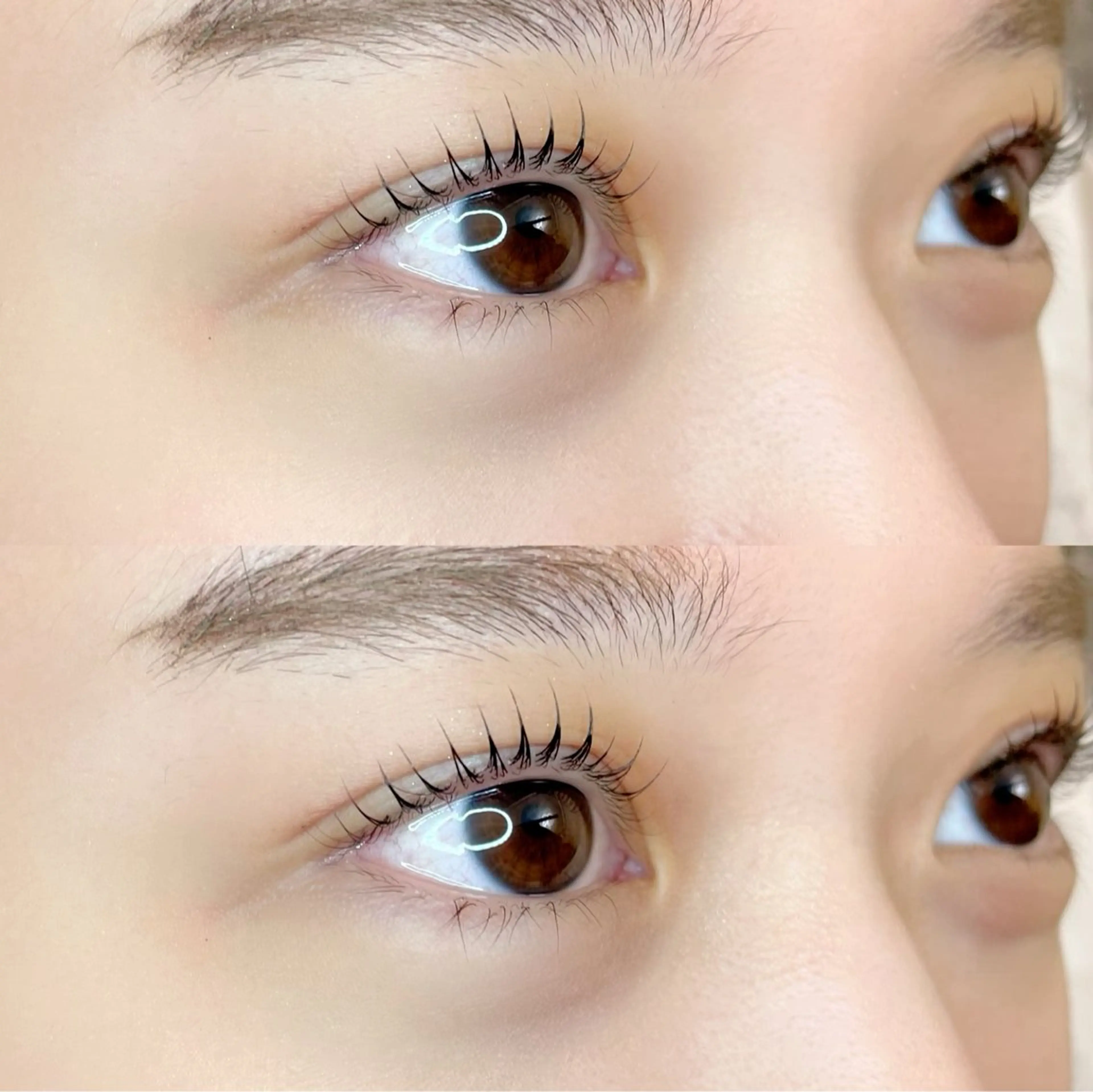 【🌻口コミ🈹🤍】持続力UP↑2stepトリートメント付き似合わせまつ毛パーマ➕束間仕上げコーティング👀🌟の写真