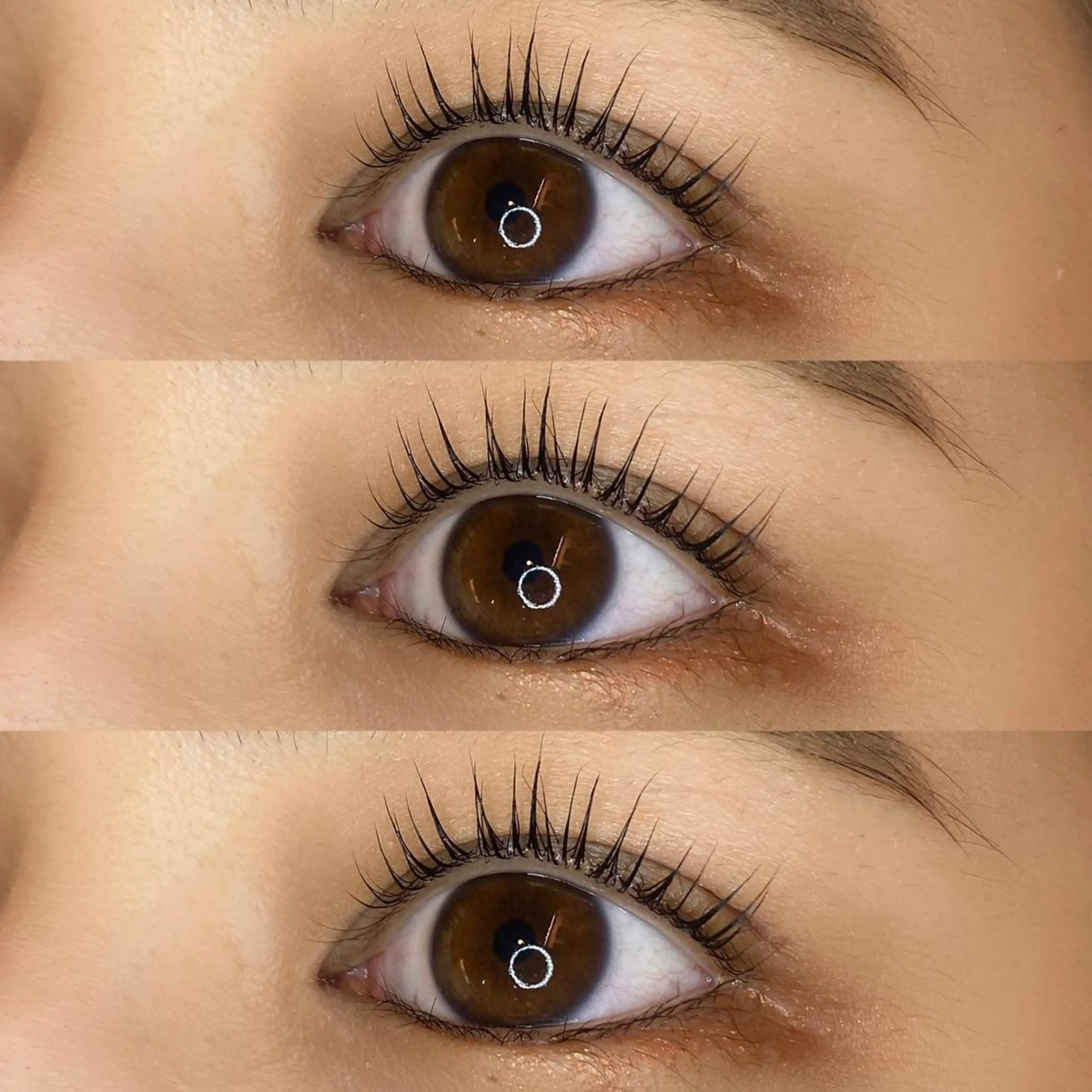 マツエク・マツパ パリジェンヌラッシュリフト まつげパーマ miiia lash所属・miiia lashのマツエク・マツパデザイン