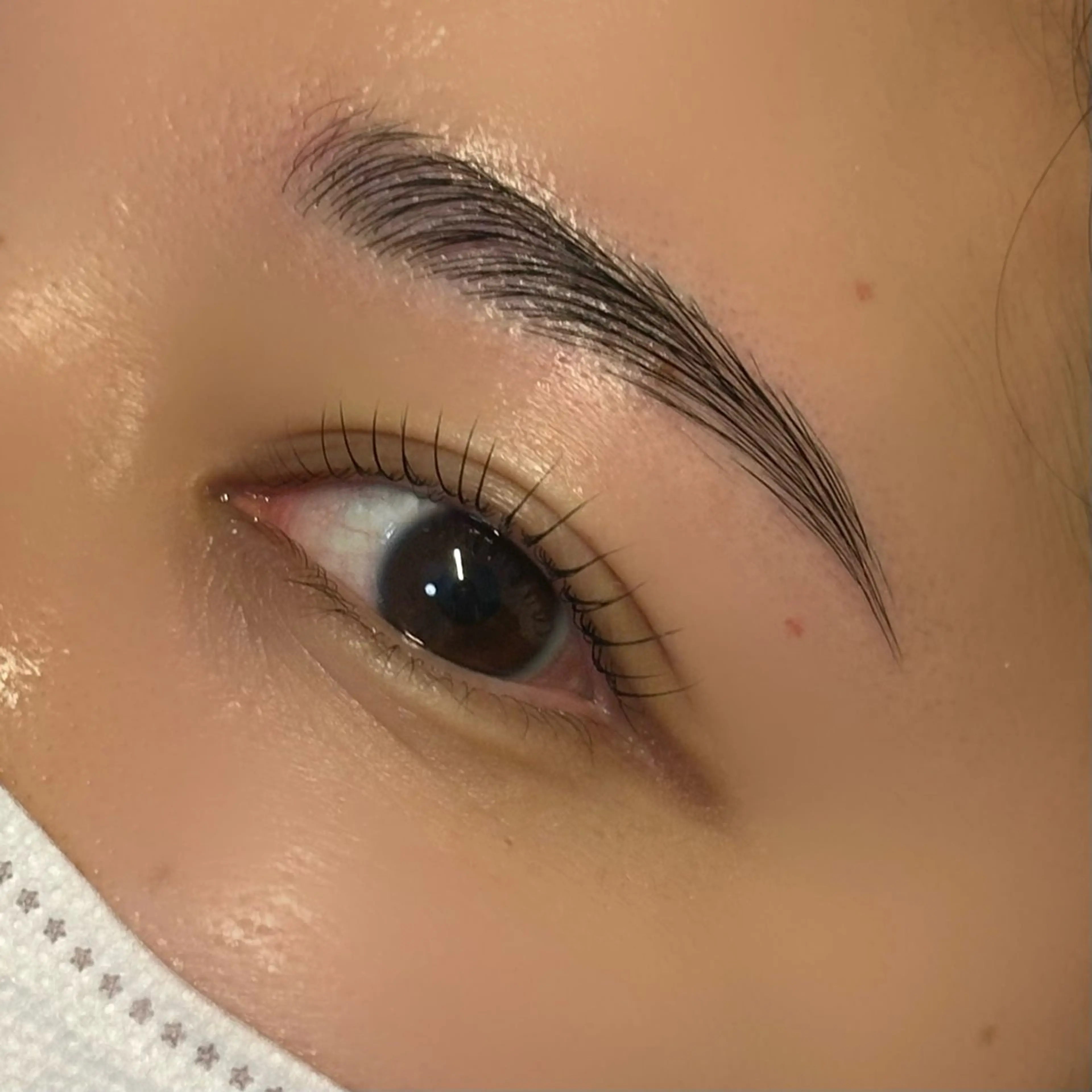 【学生限定】HBLハリウッドブロウリフト× まつ毛パーマの写真