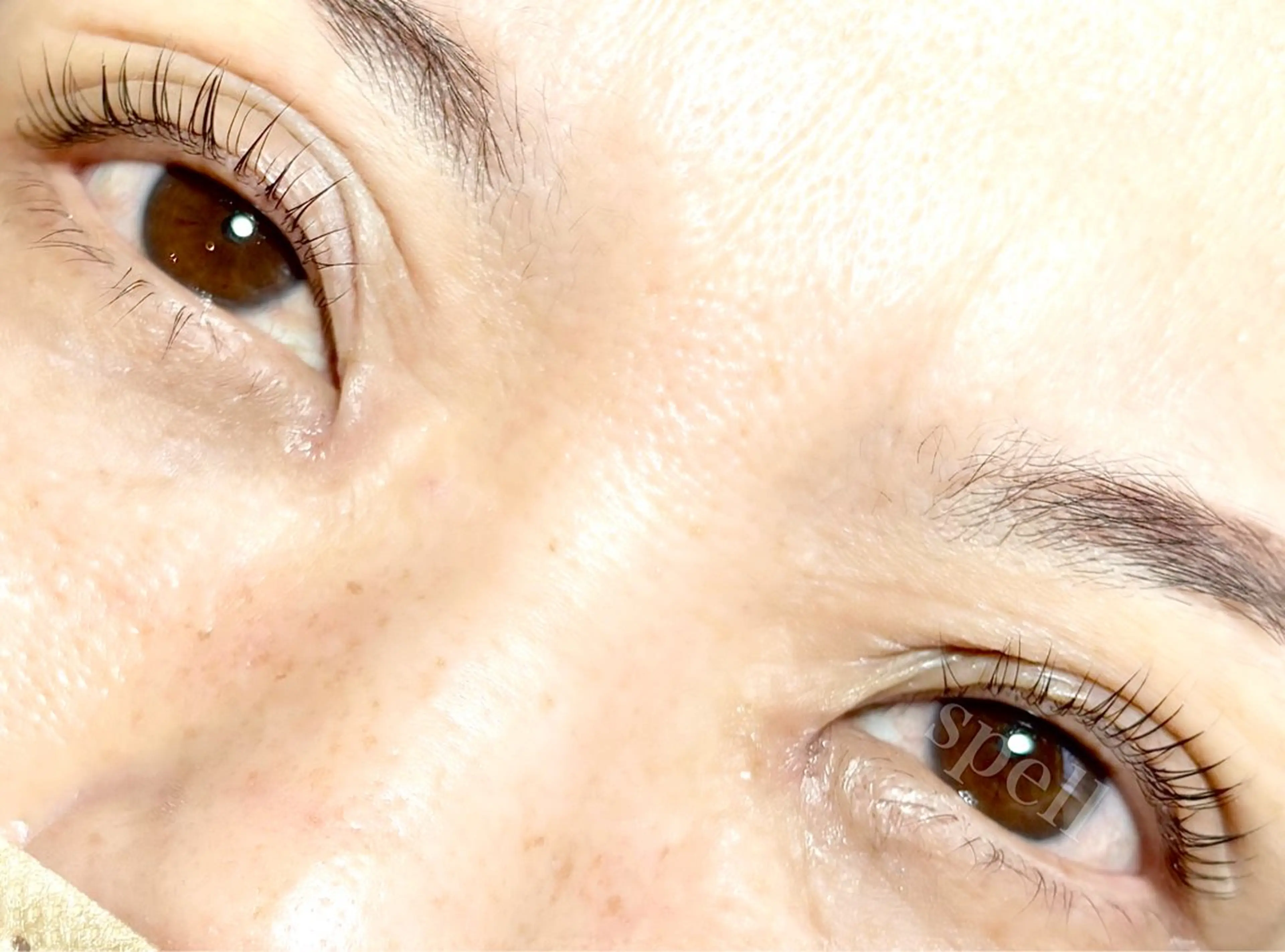 マツエク・マツパ マツパ spell_eyelash所属・spell eyelashのマツエク・マツパデザイン