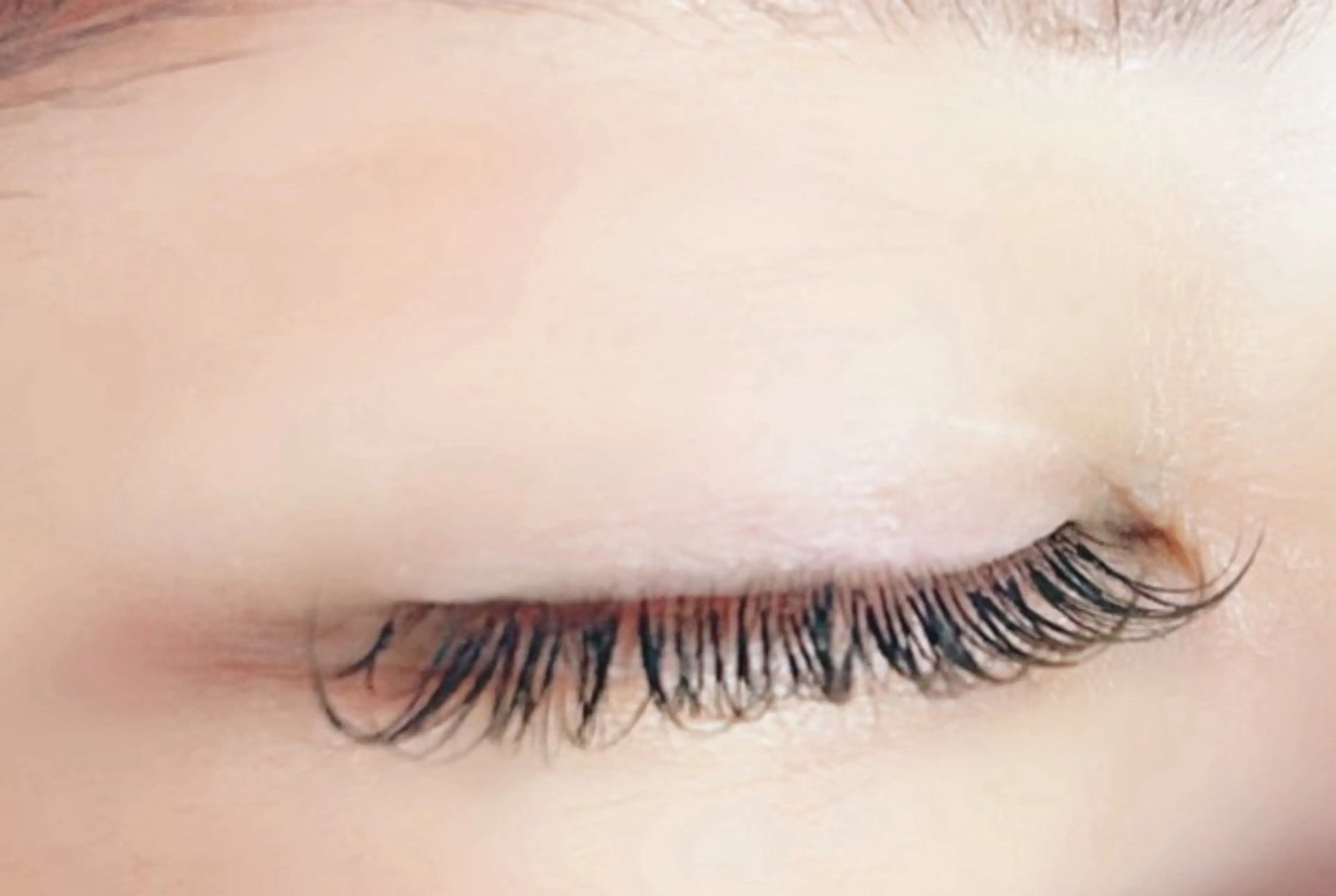 バインドロック120束の写真