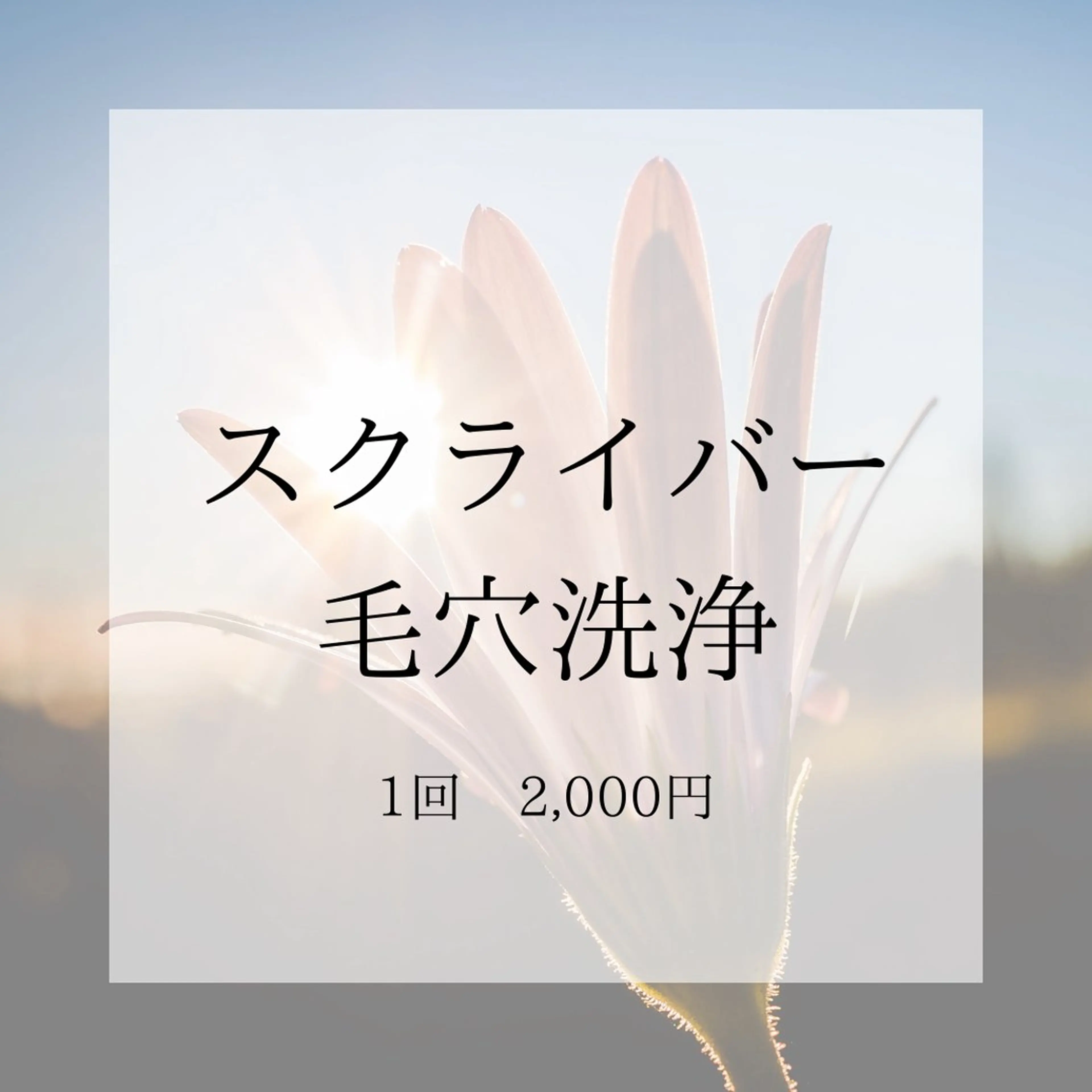 スクライバー毛穴洗浄の写真