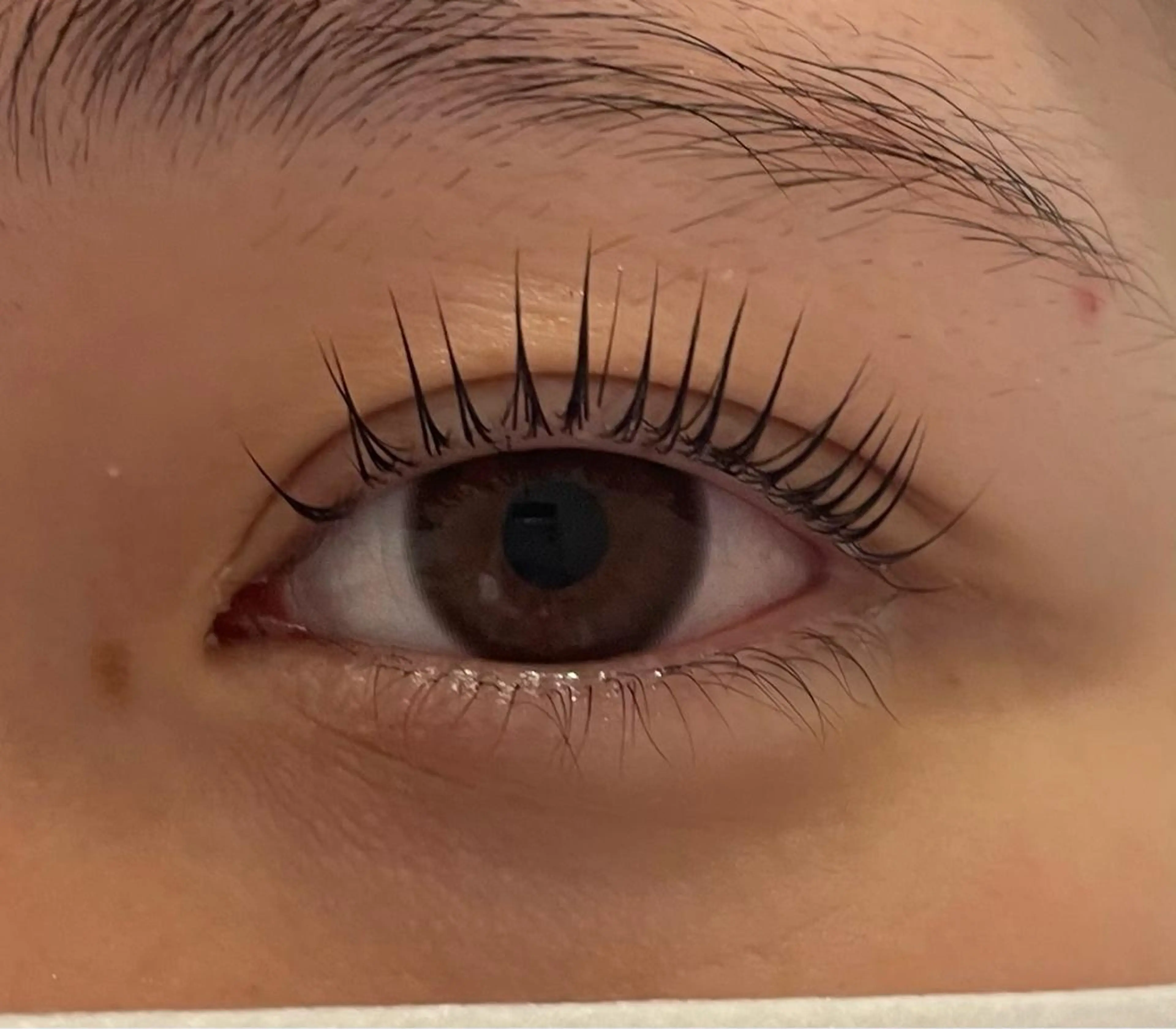 マツエク・マツパ 🖤Eve 市川 NARUMI🪽‪の眉毛・アイブロウイメージ