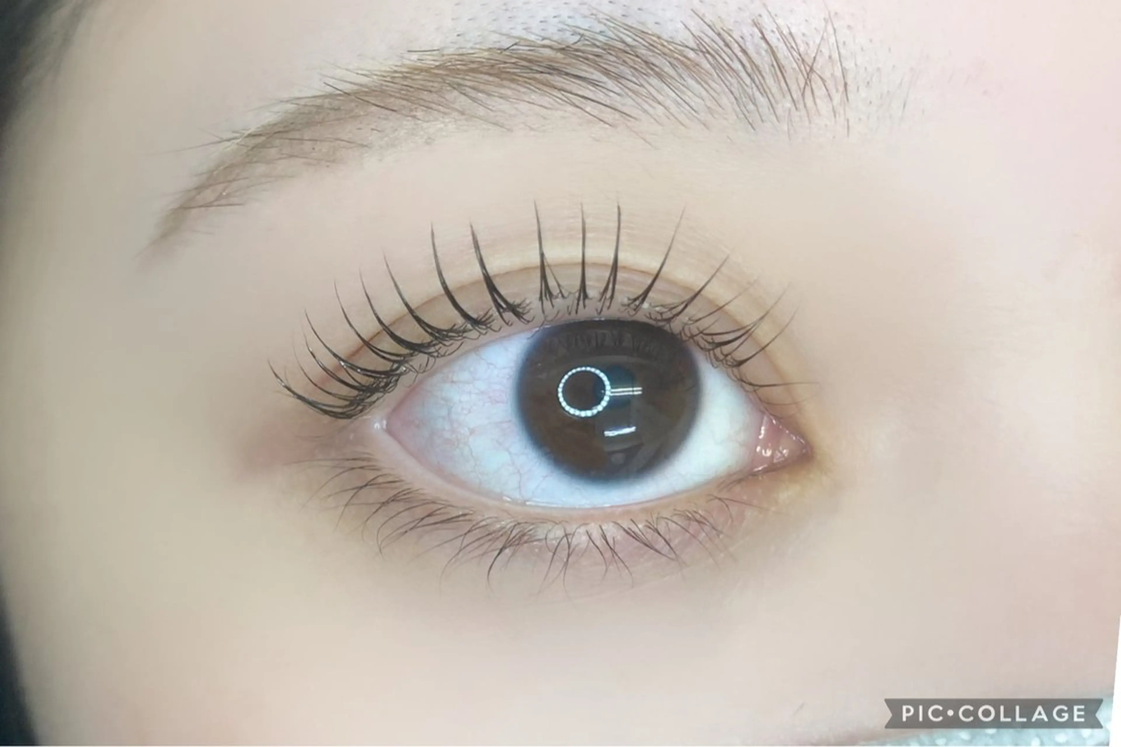 マツエク・マツパ TIARA池袋西口店 店長YASUKA💐のマツエク・マツパデザイン