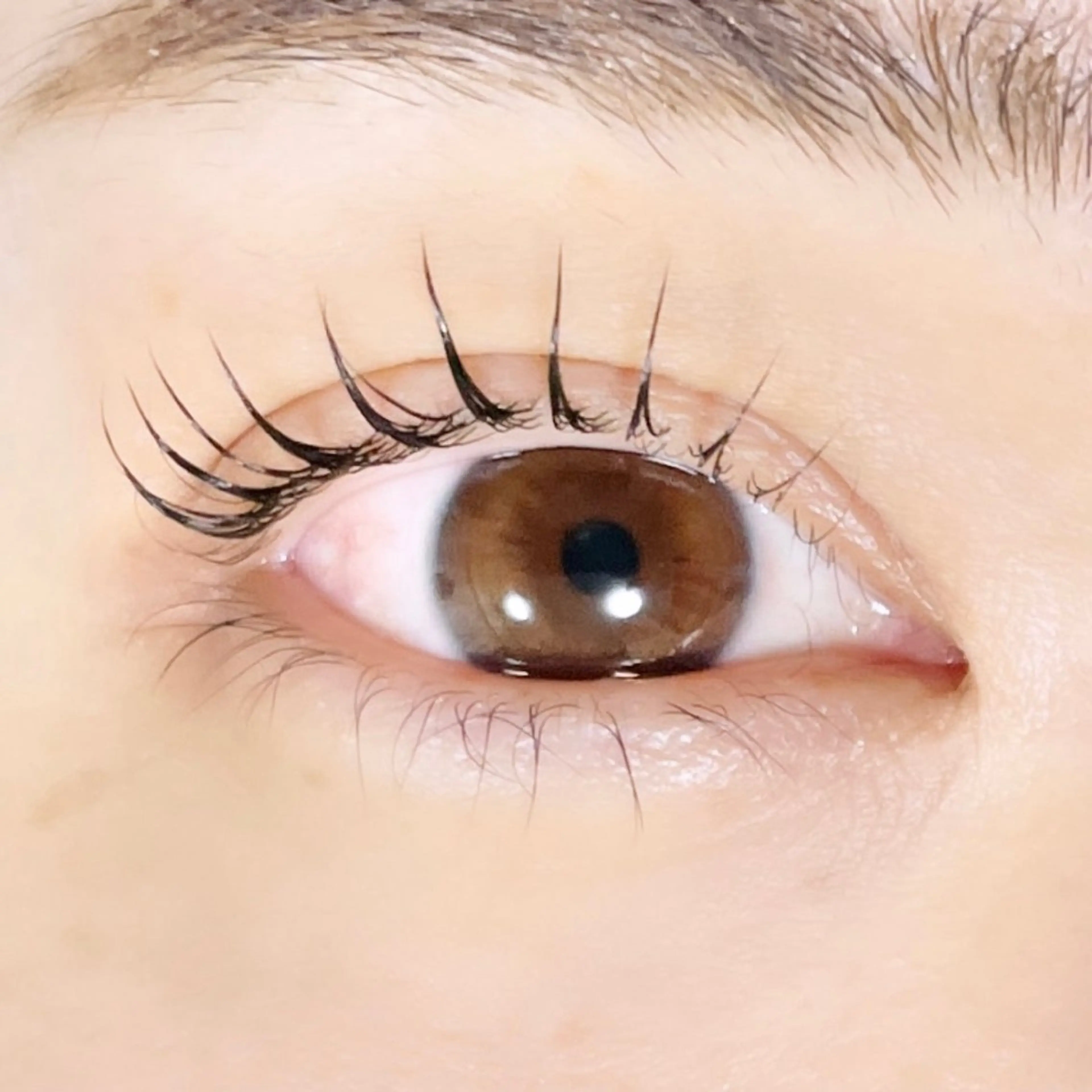 マツエク・マツパ TAKEO🖤 マリーテレジア藤が丘のマツエク・マツパデザイン