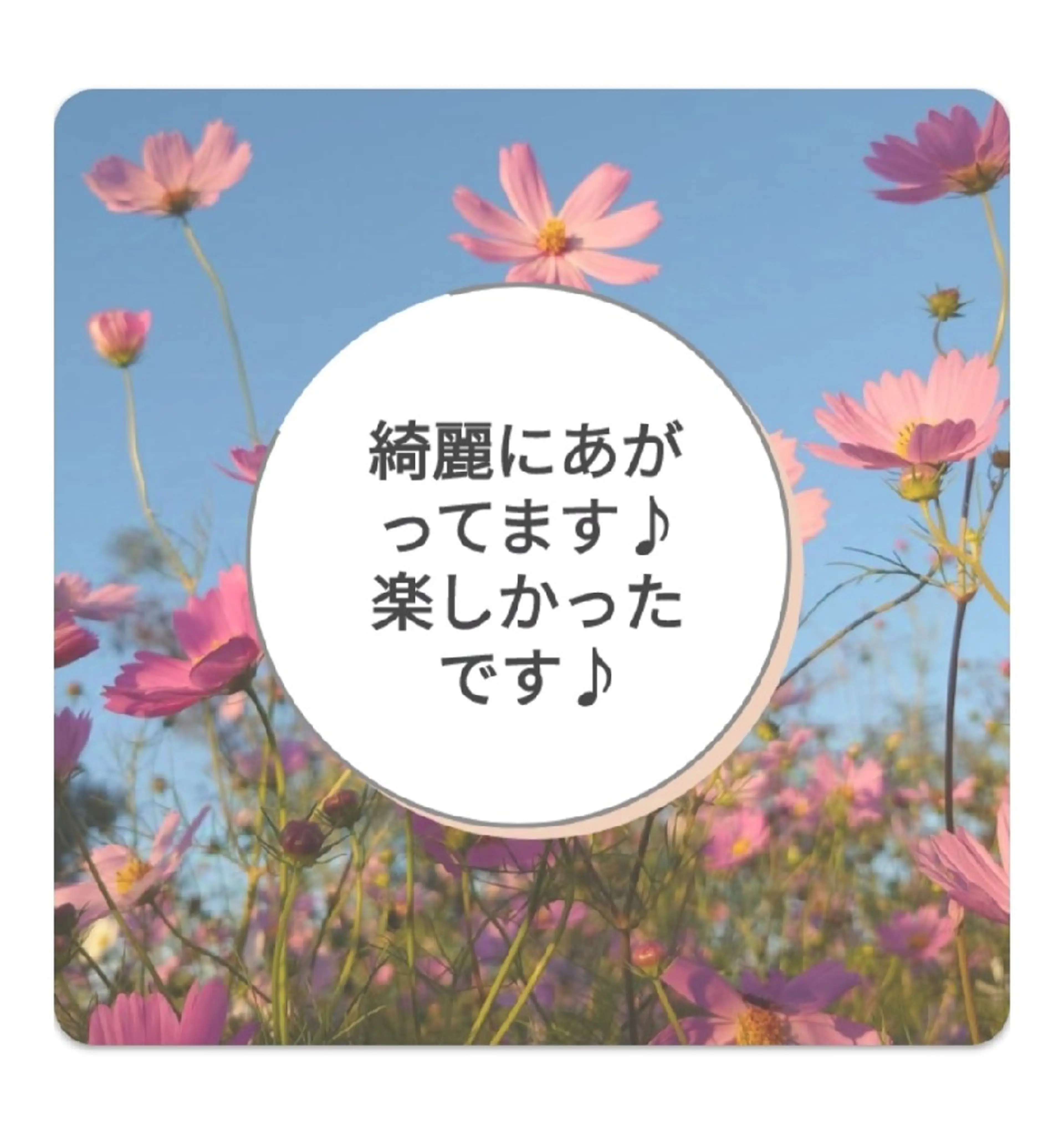 マツエク・マツパ マツパ 錦糸町 ハッピーウーマンのマツエク・マツパデザイン