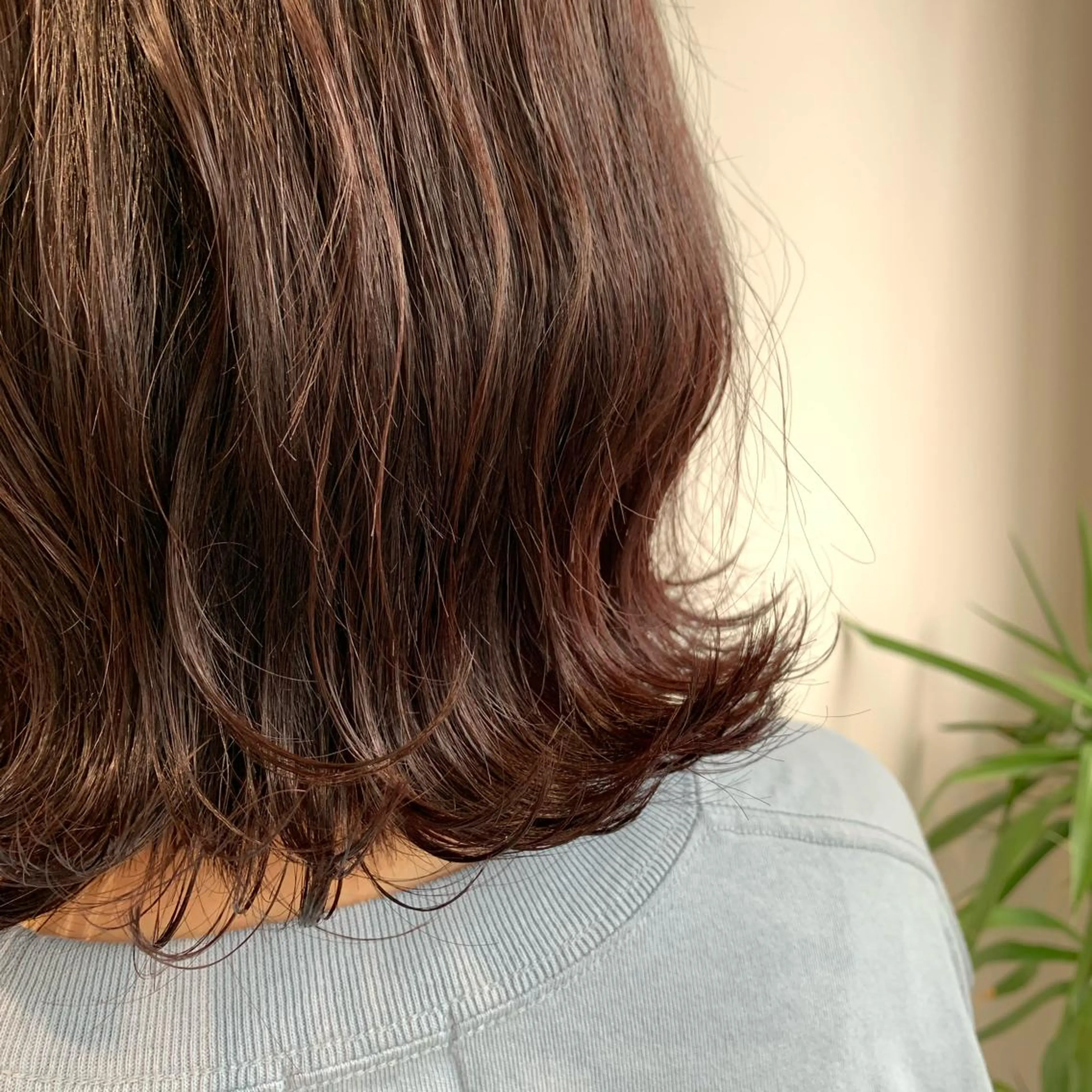 セミロング カラー ブラウンカラー レッドカラー レッドブラウン "小顔カット" Fuko.のヘアスタイル