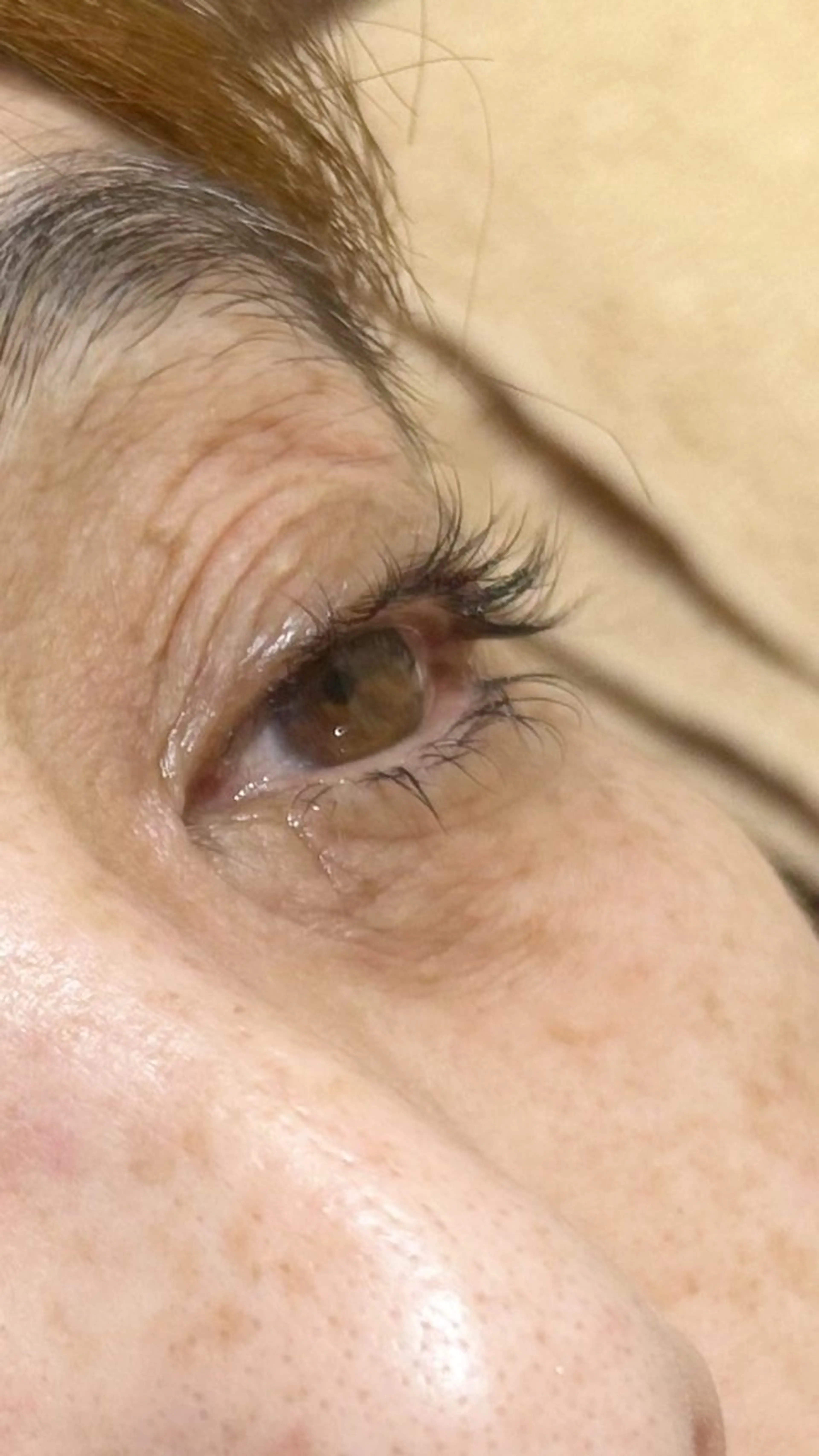 【4/8​〜​4/15まで】下まつ毛パーマのモデル様募集！中顔面短縮しませんか？説明欄をよくお読みの上ご予約お願いします🫧の写真