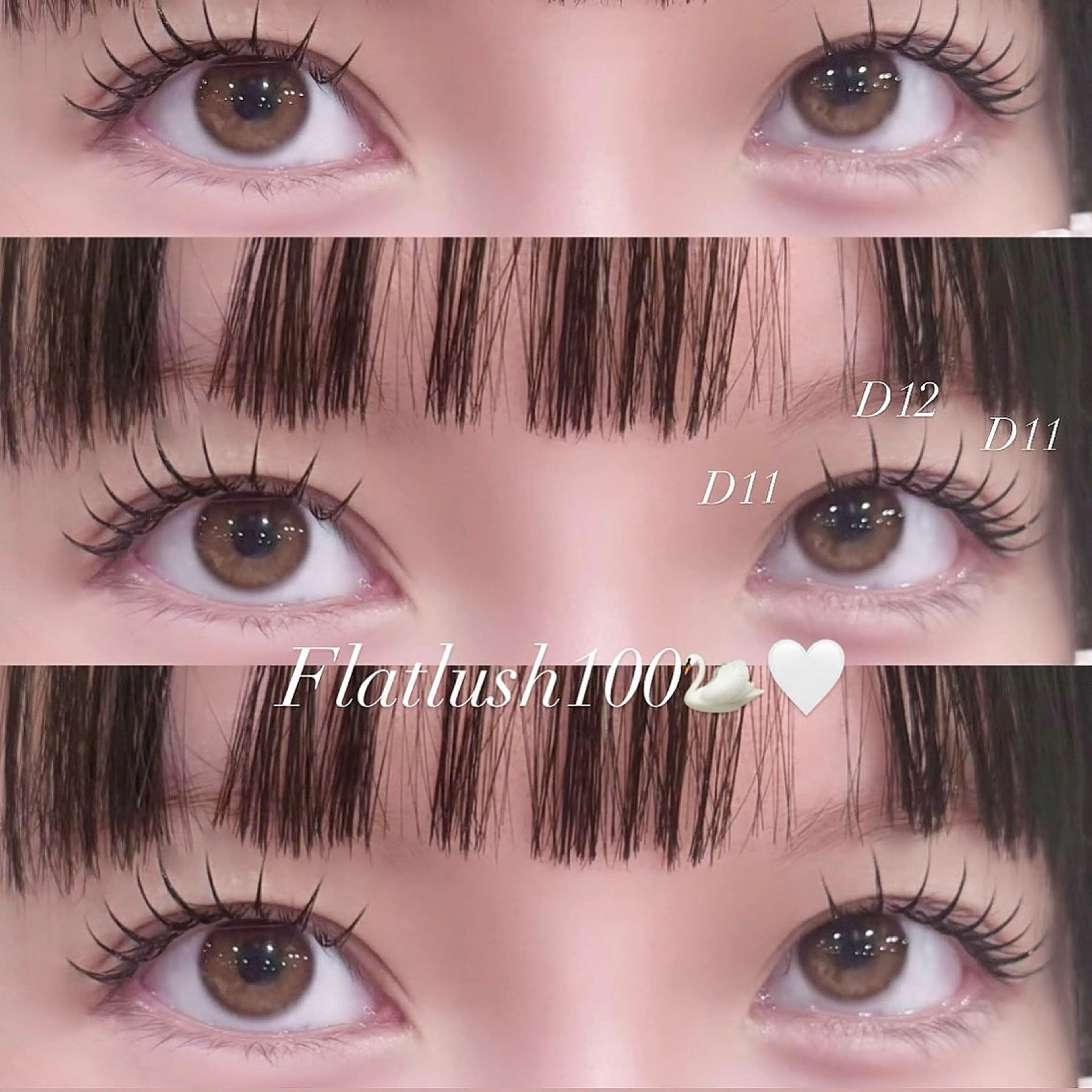🤍王道人気フラットラッシュ🤍80本¥4000円100本4500円(初回オフ無料）の写真