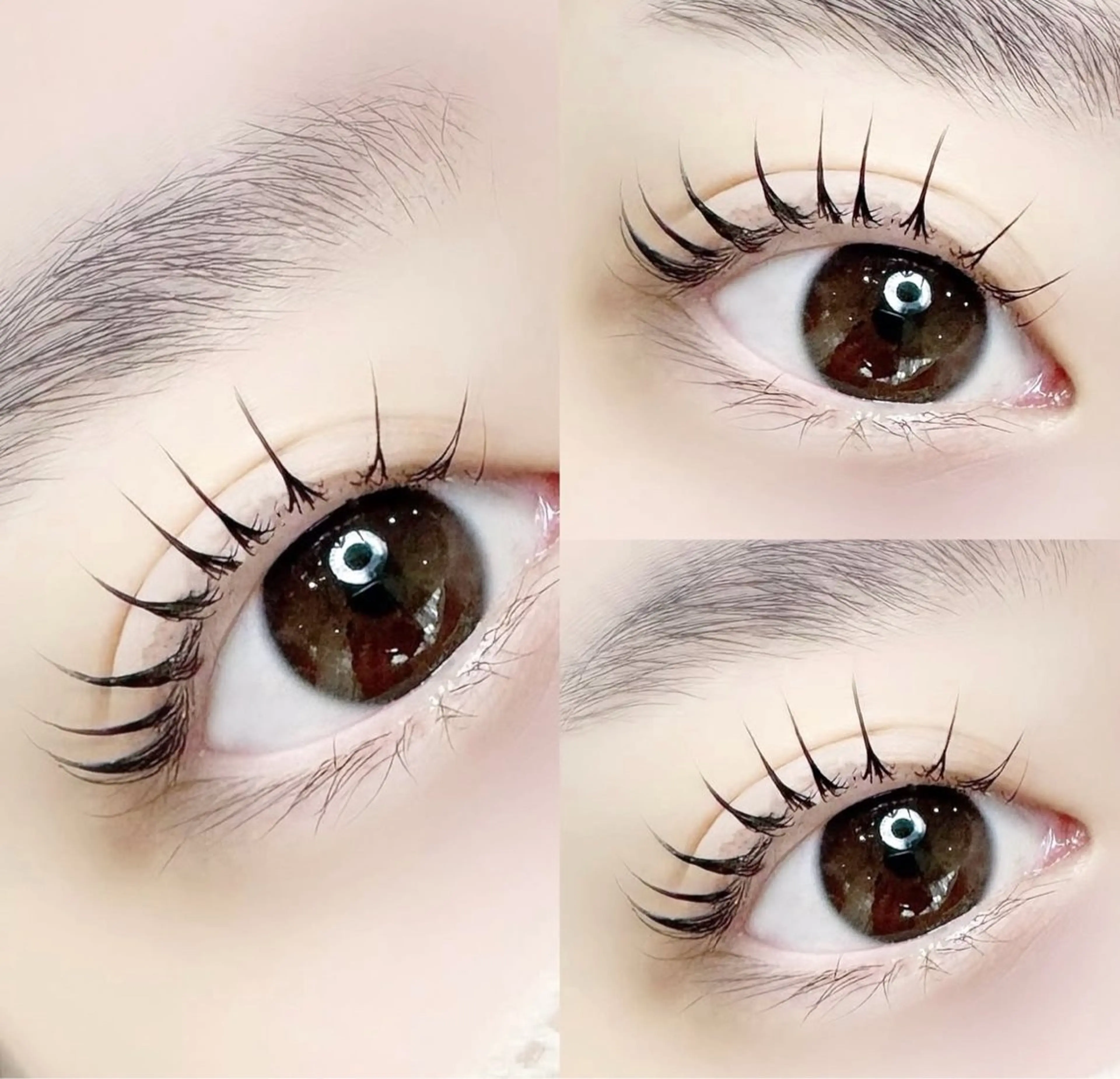 マツエク・マツパ 一重×まつ毛パーマ まつ毛サロン　ｉ所属・まつ毛サロン アイのマツエク・マツパデザイン