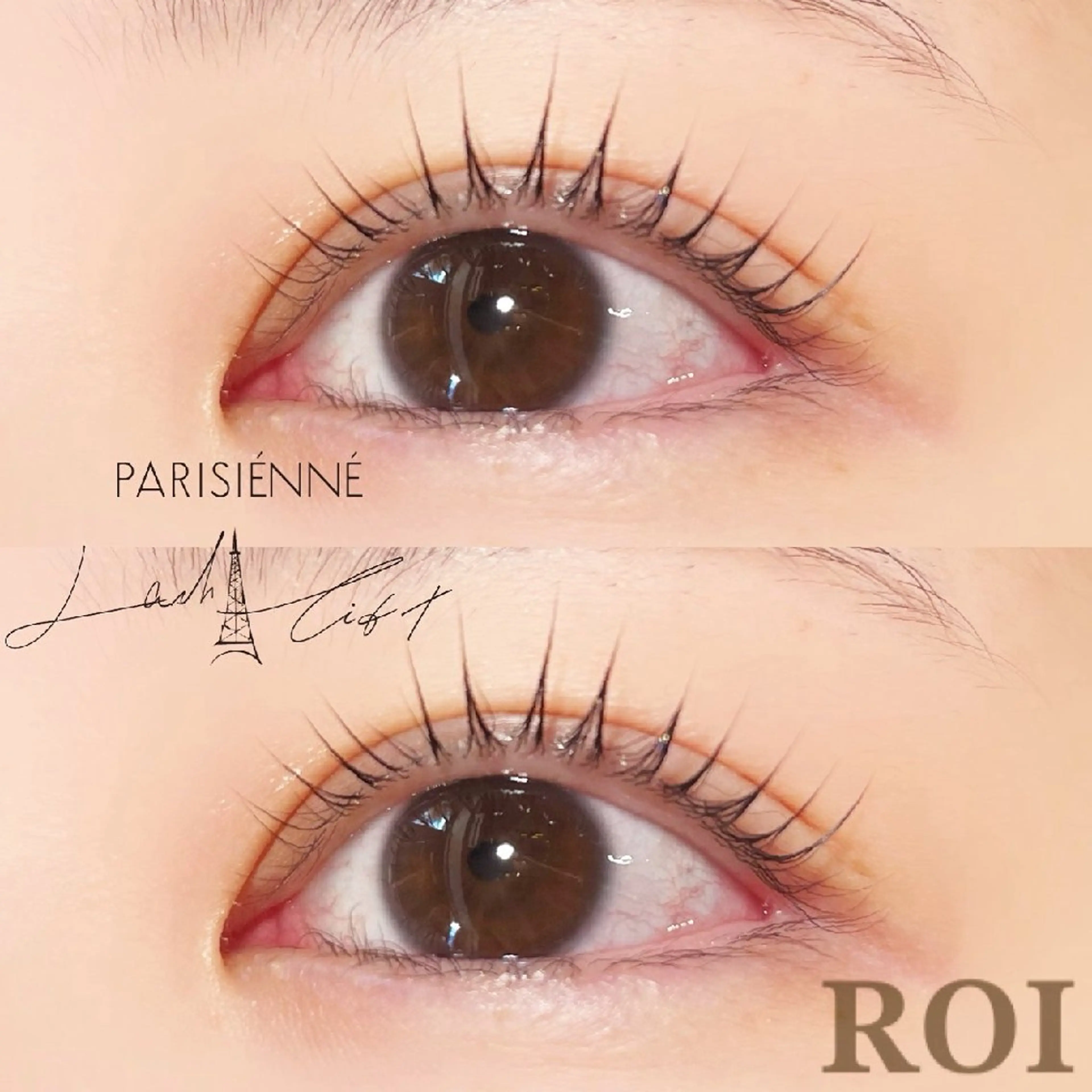 期間限定✴️似合わせカールラッシュリフトの写真