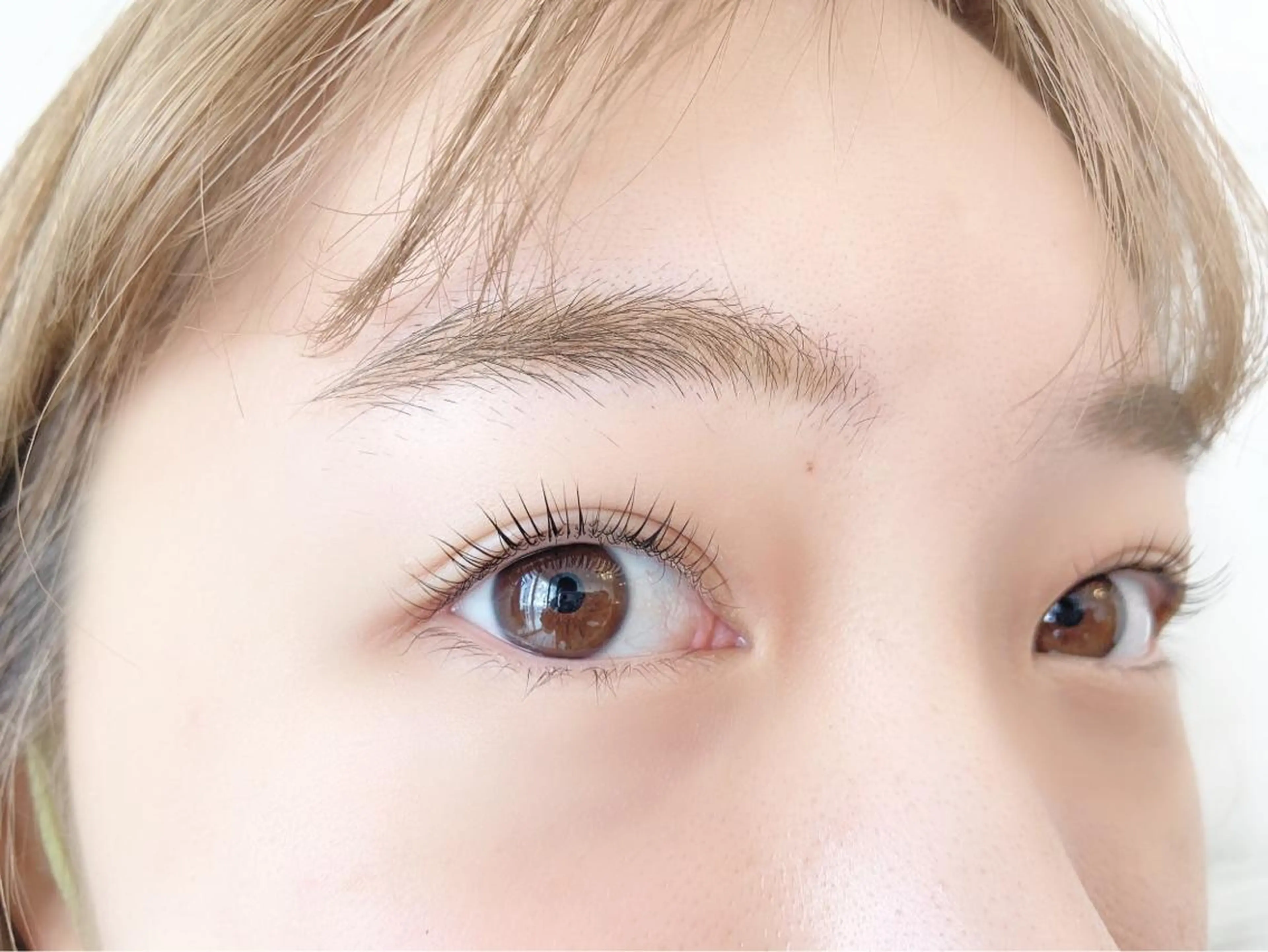 マツエク・マツパ サクラブロウ 池袋　店の眉毛・アイブロウイメージ