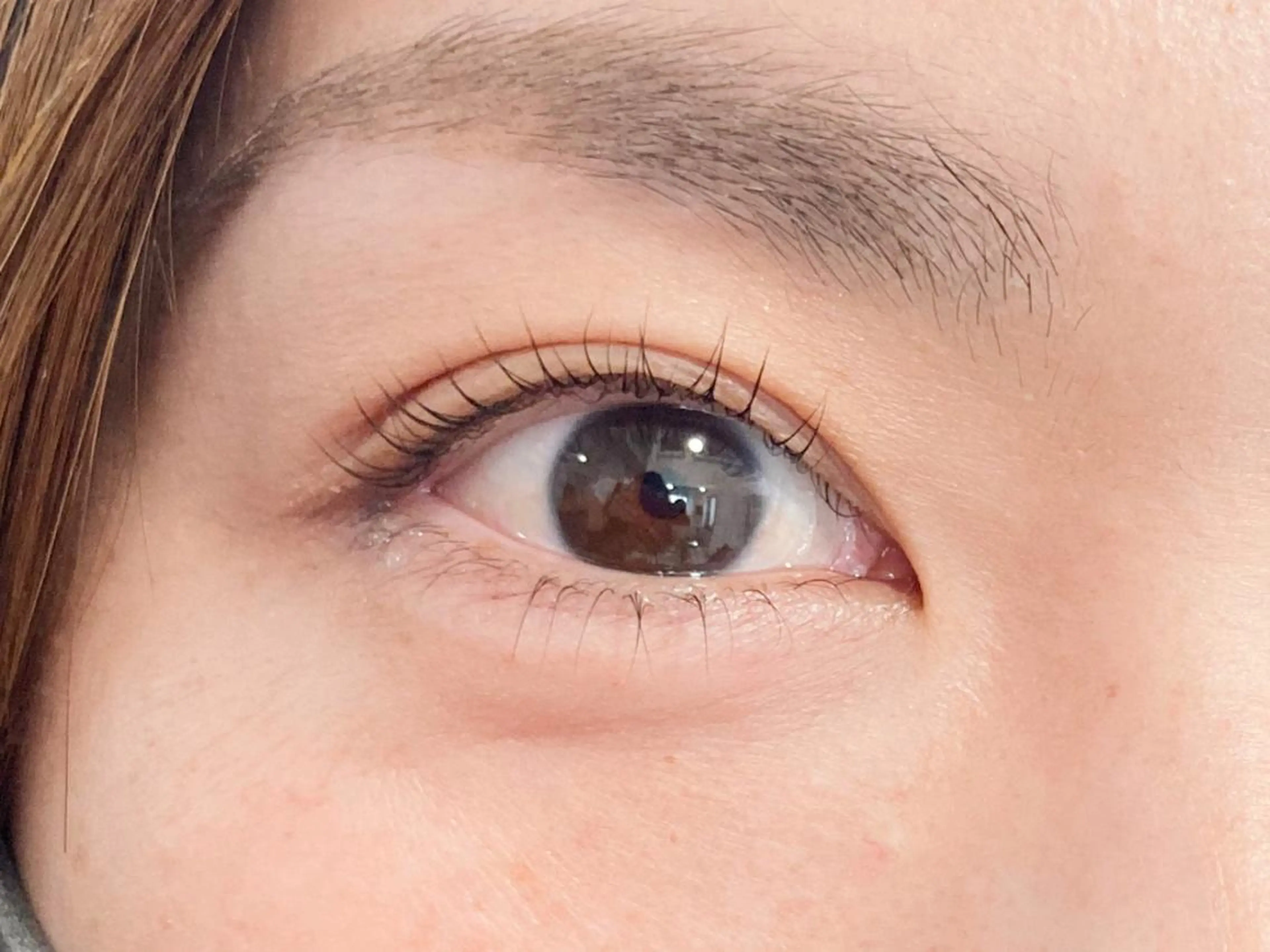 マツエク・マツパ マツパ トレヴァーデルチザン inuiのマツエク・マツパデザイン