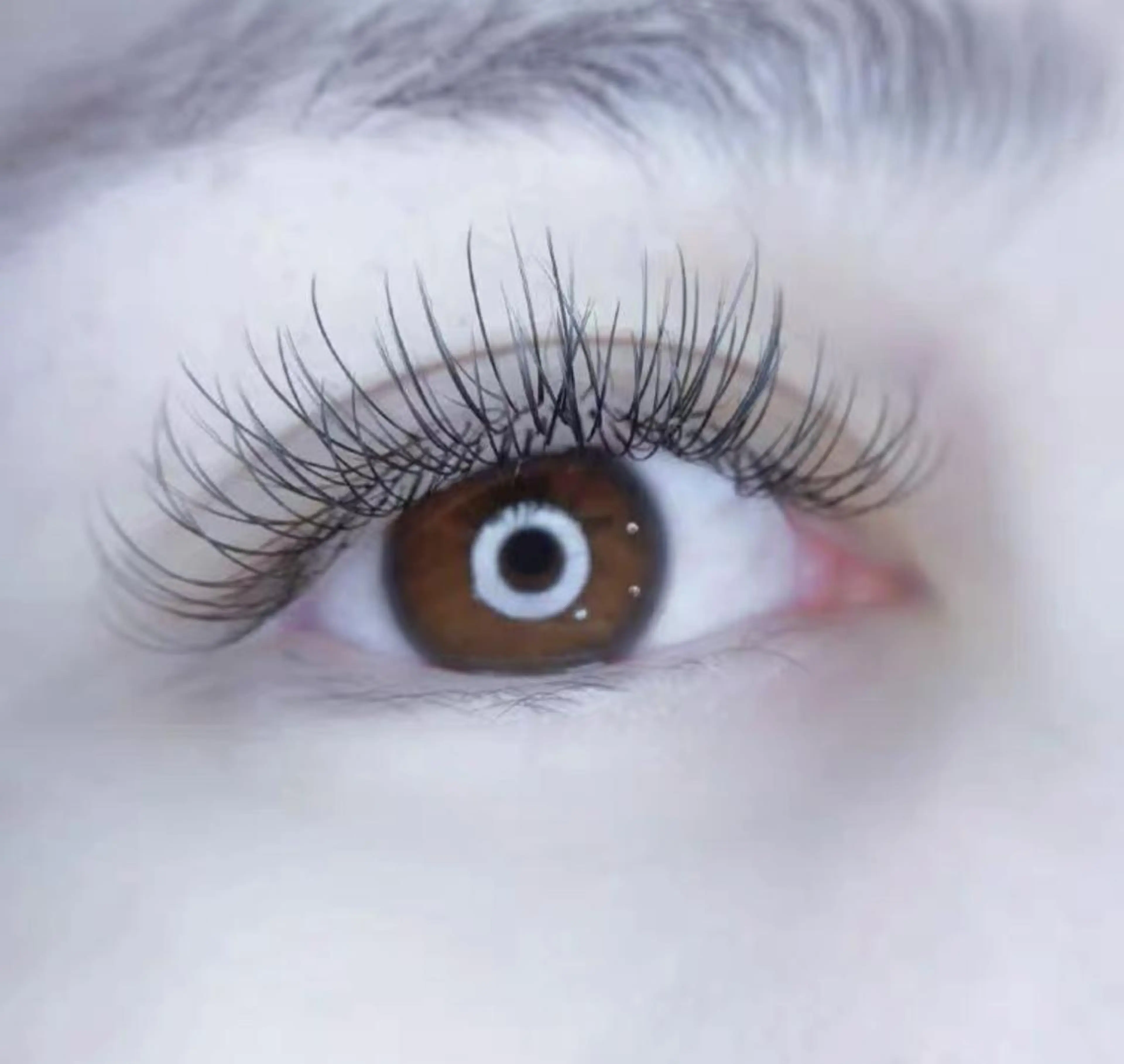 マツエク・マツパ Cute B e au t yのマツエク・マツパデザイン