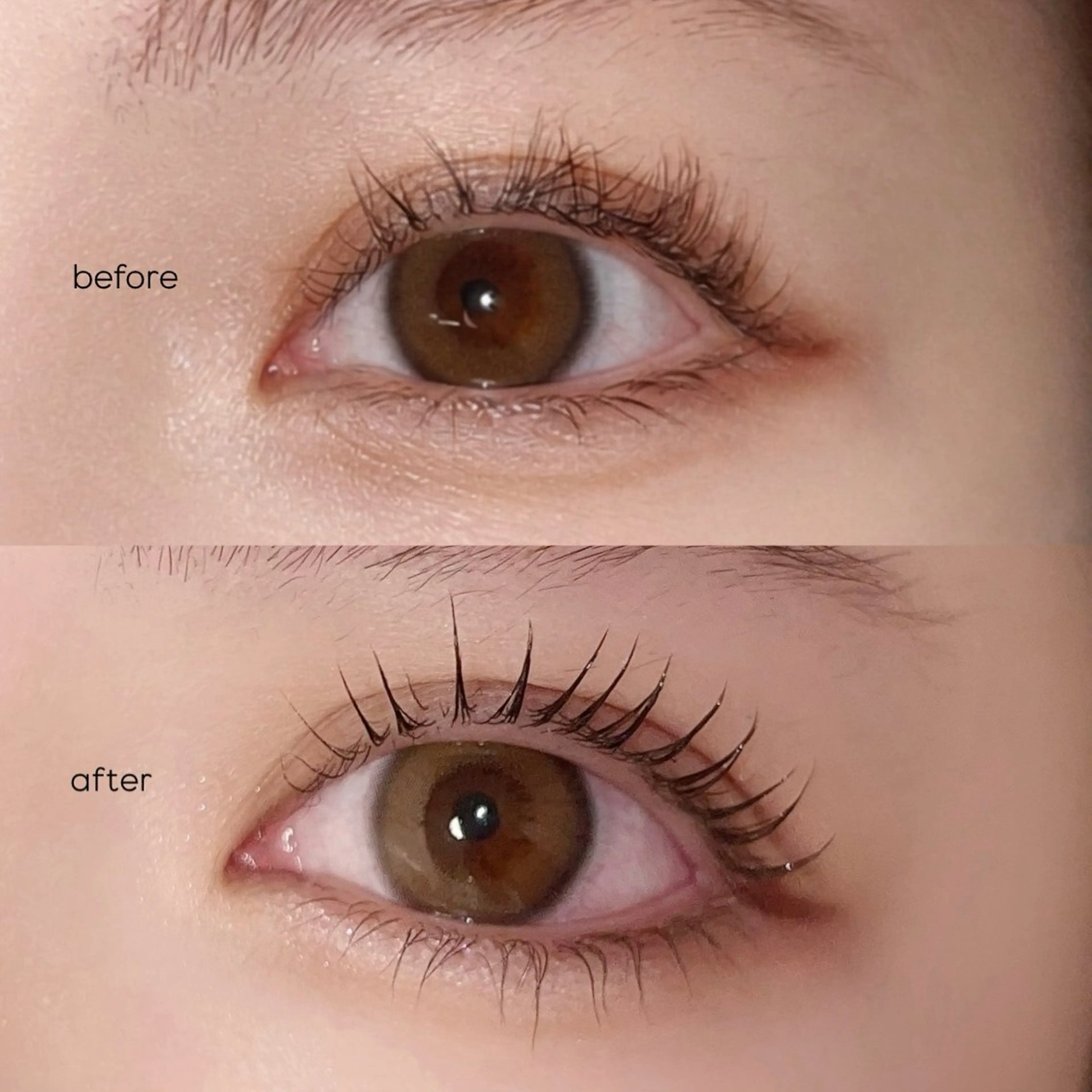 マツエク・マツパ Ayumi.dre 🤍T 〈2階〉のマツエク・マツパデザイン