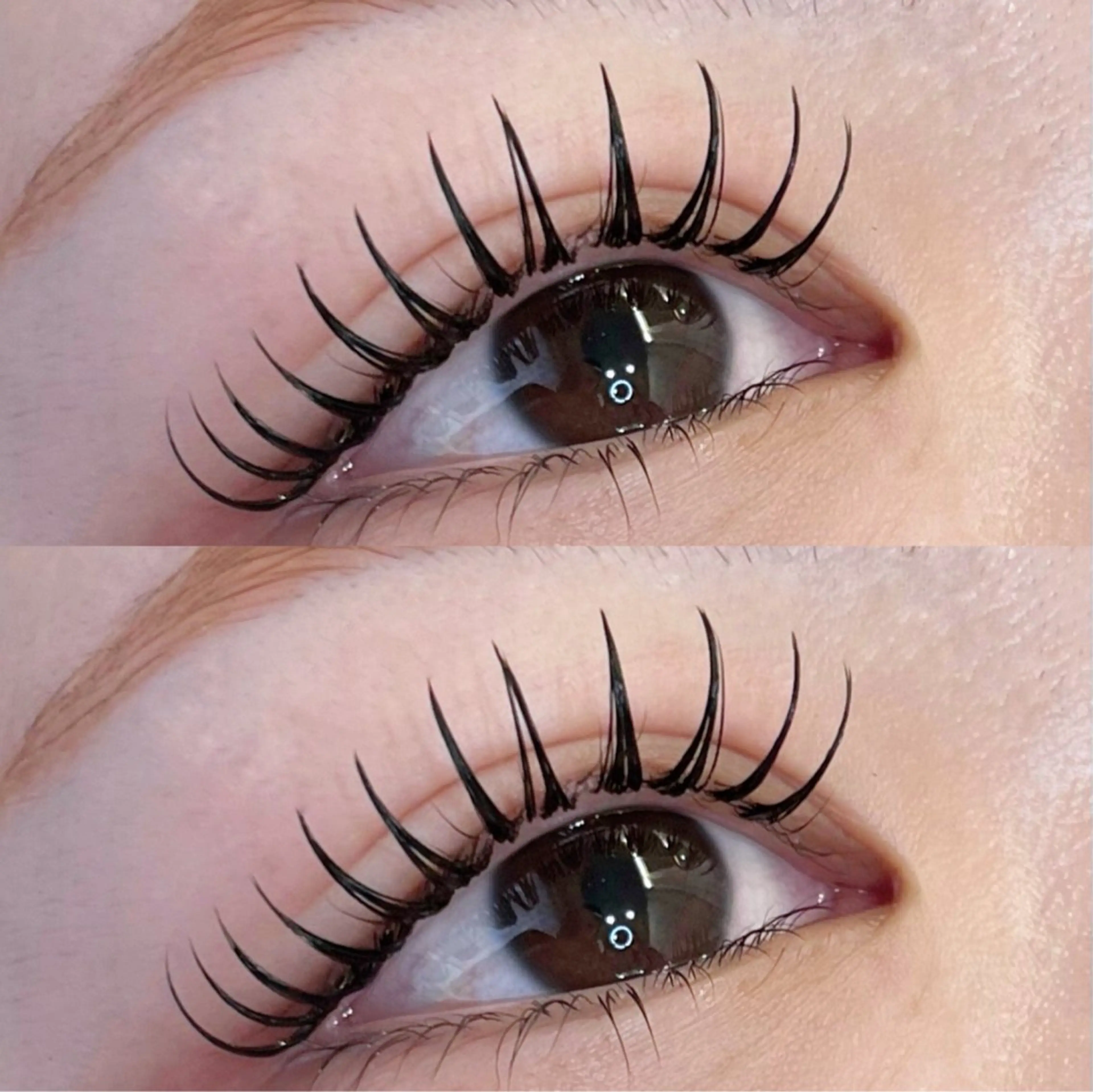 🦋バインドロック🦋🫧80~100束🫧 LED+¥500,オフ+¥1000の写真